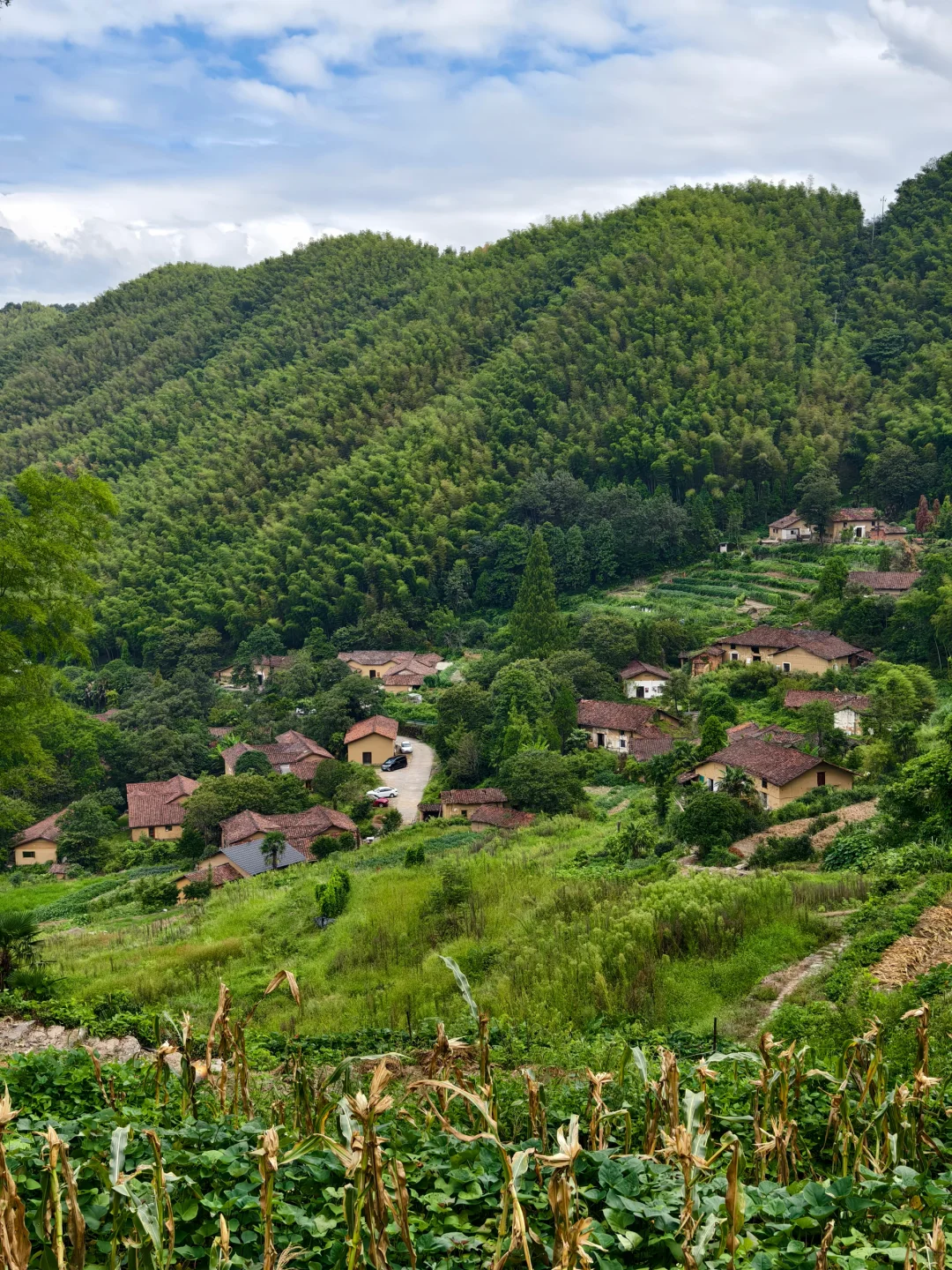 浙江的古村落承包了最好的小长假