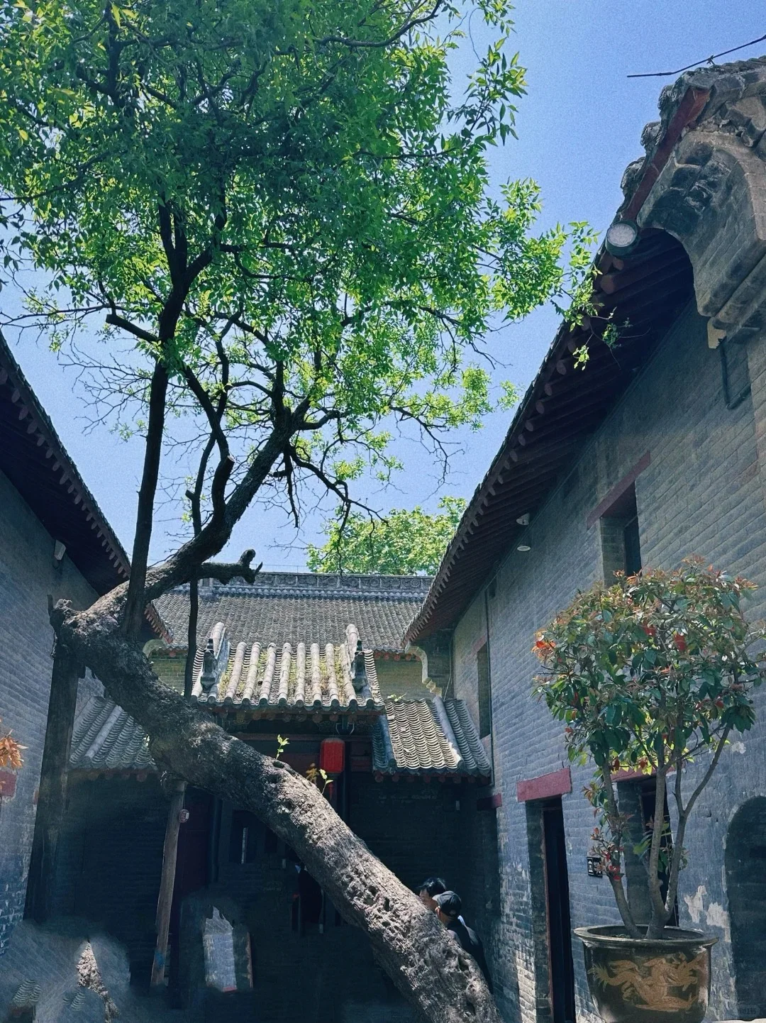 郑州必打卡的9大景点🎯