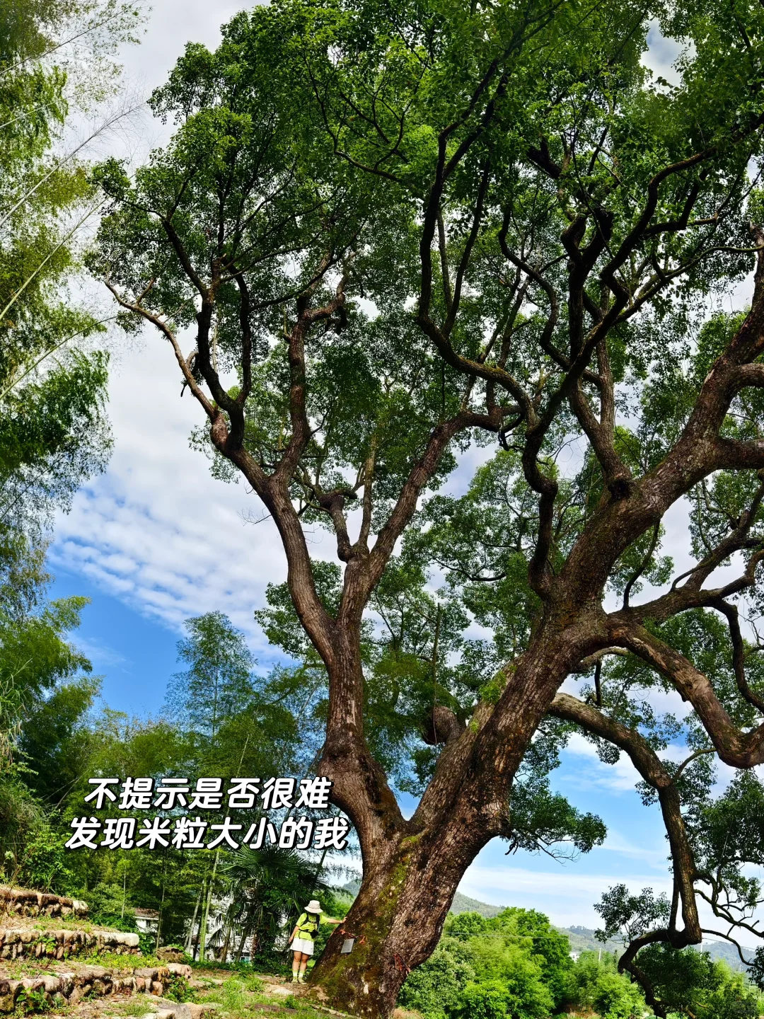 浙江的古村落承包了最好的小长假