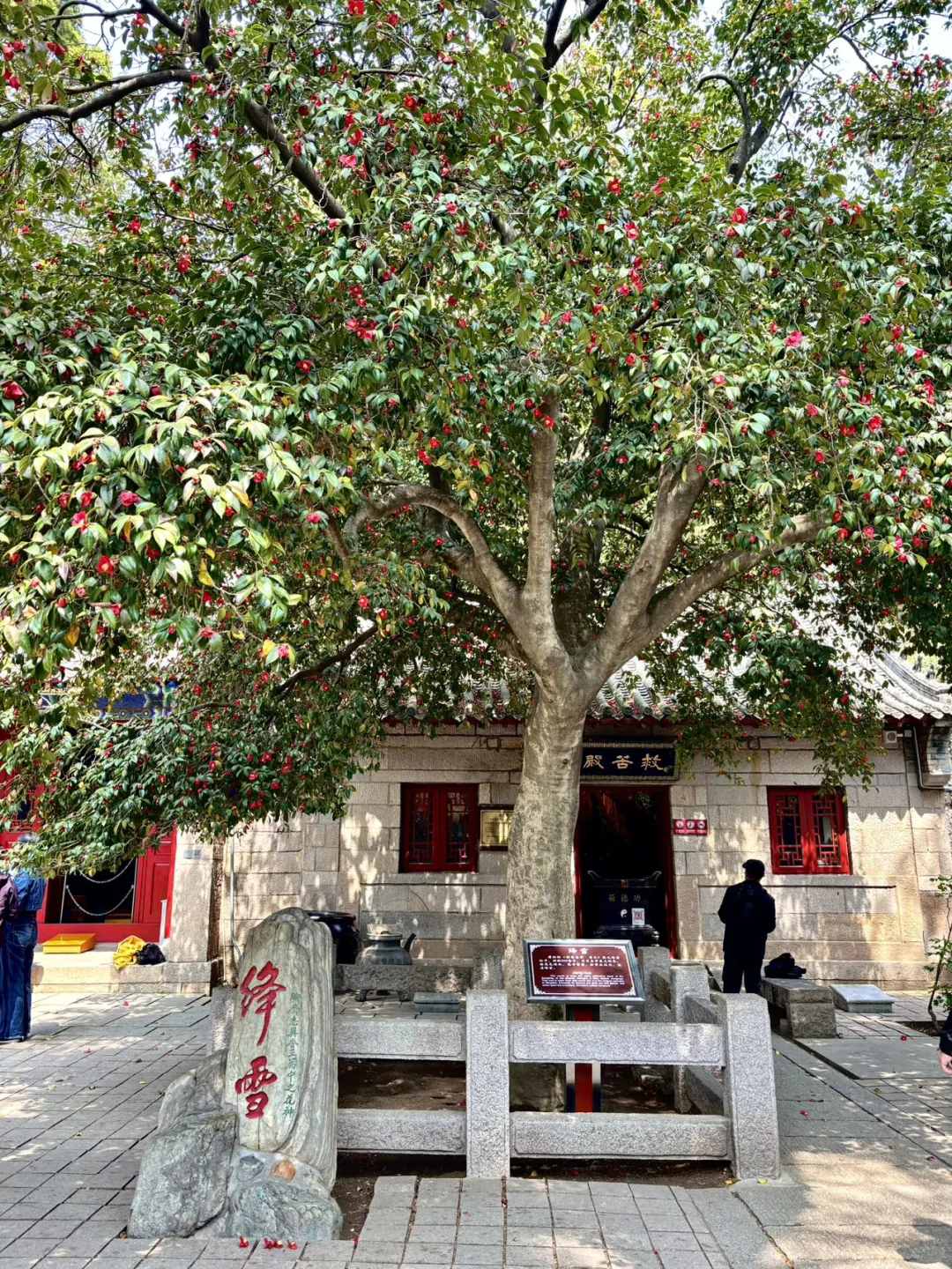 一起追寻穿墙术！就来崂山太清宫！