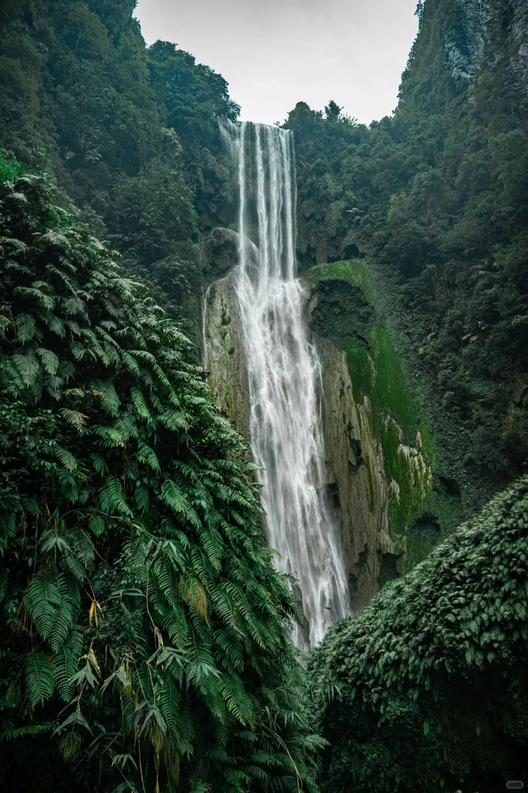 五一带娃去崇左+涠洲岛，真的赢麻了~