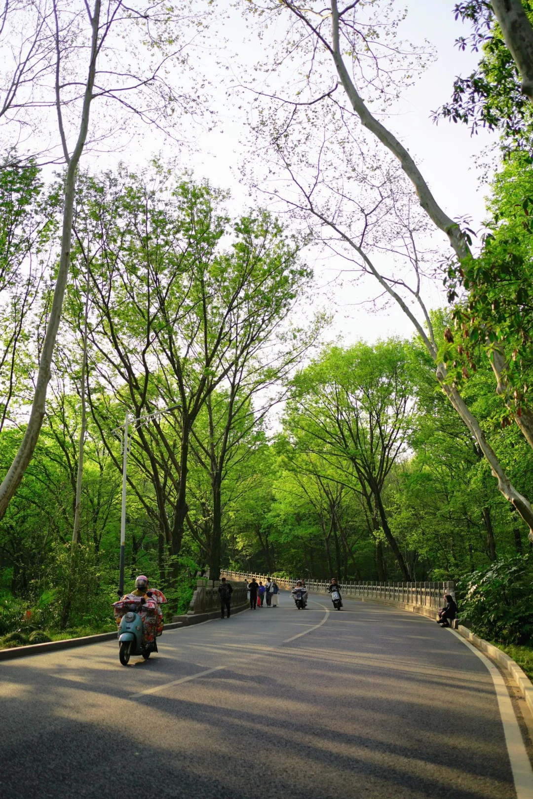 南京亲子游‼️实测不费腿不挤人攻略😎抄作业