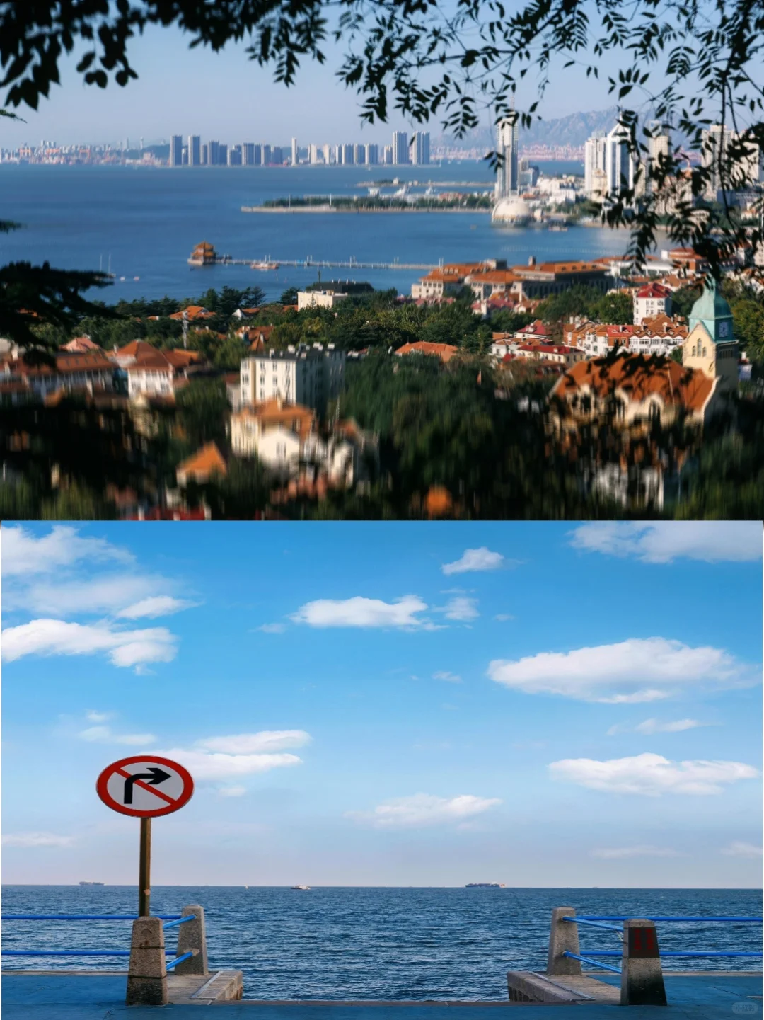 青岛会奖励每一个提前做攻略的人！！