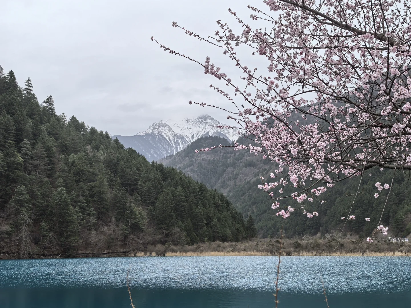 九寨沟特种兵喂饭级攻略
