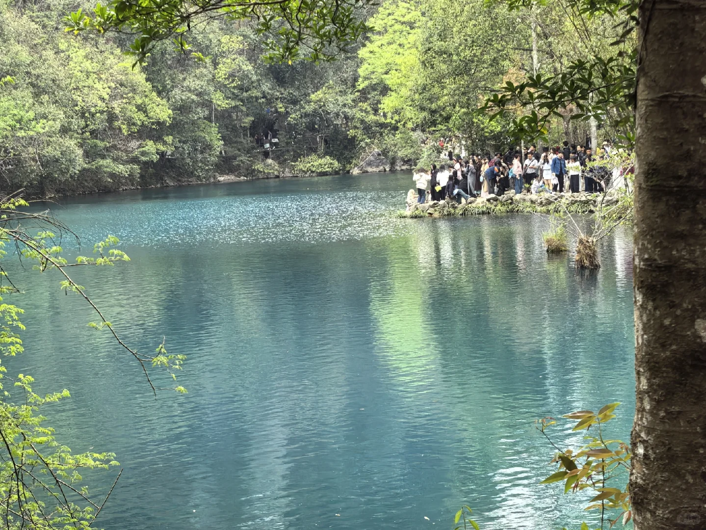 🌟地球上掉落的绿宝石被我找到啦！