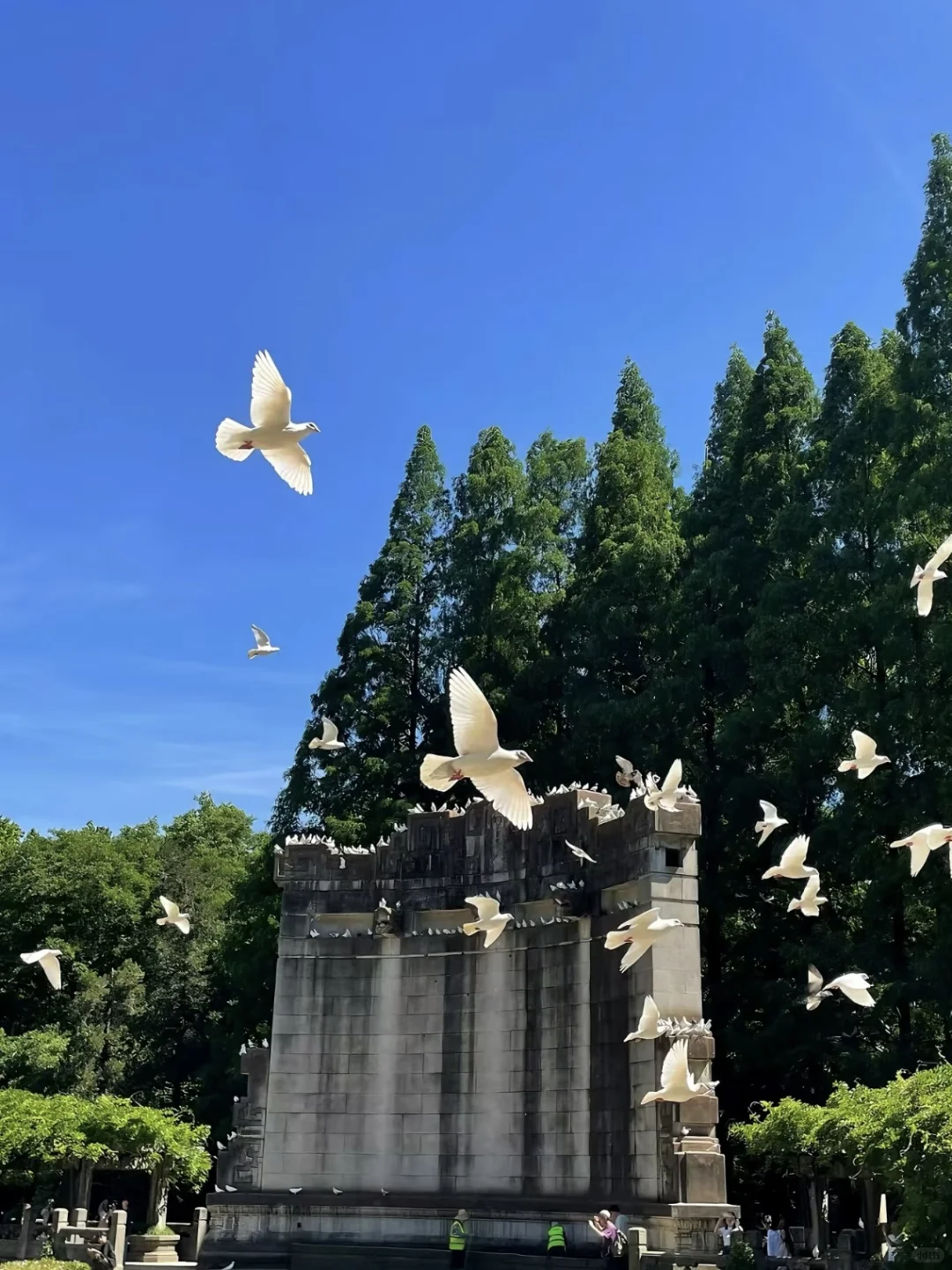 04女大📍独闯南京 | 三天不走回头路攻略