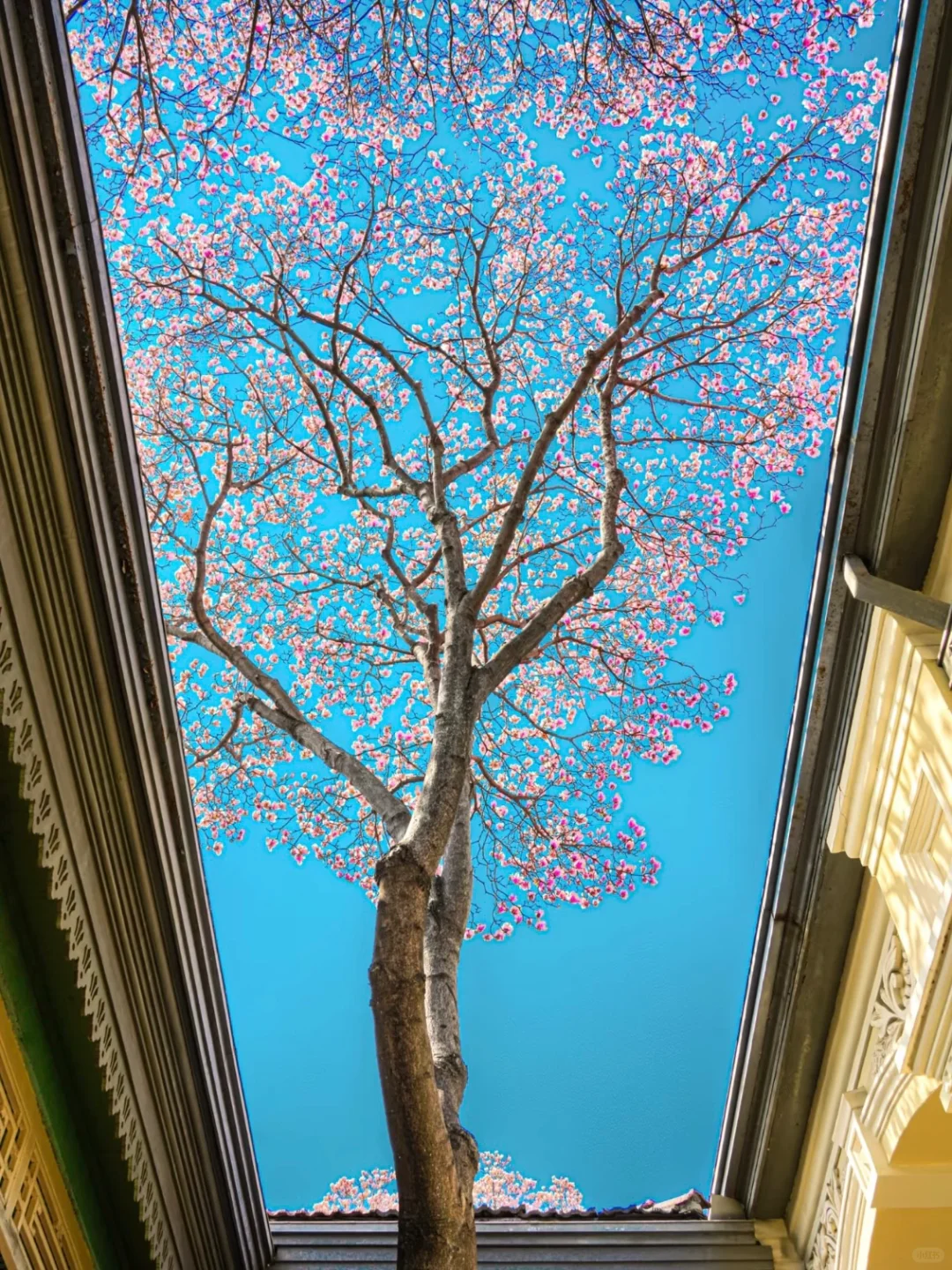 04女大📍独闯南京 | 三天不走回头路攻略