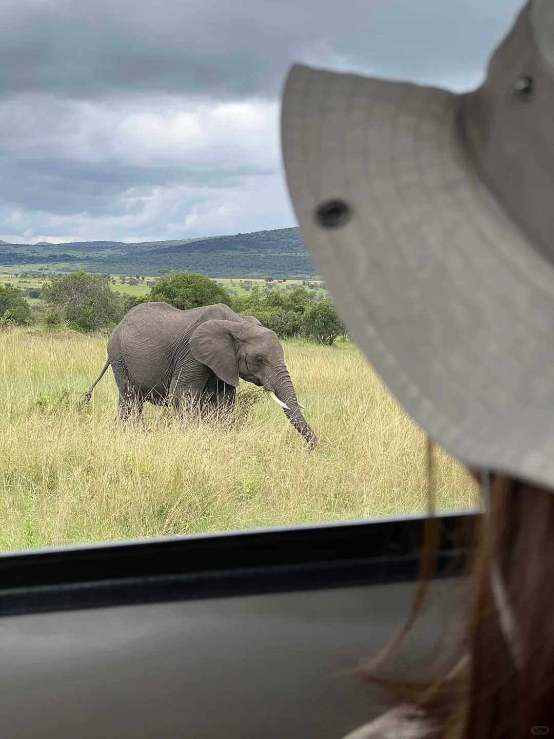 肯尼亚🇰🇪旅游攻略｜入境篇 4.12日