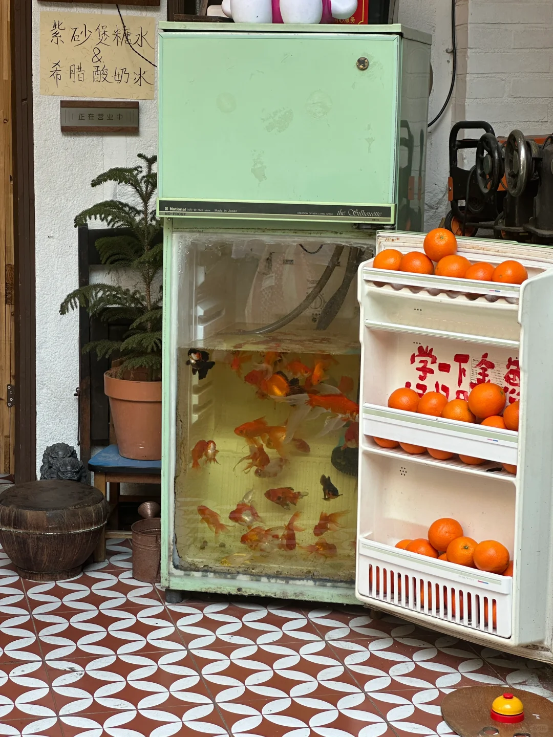 厦门集美大社旅游攻略｜本地人带你玩！