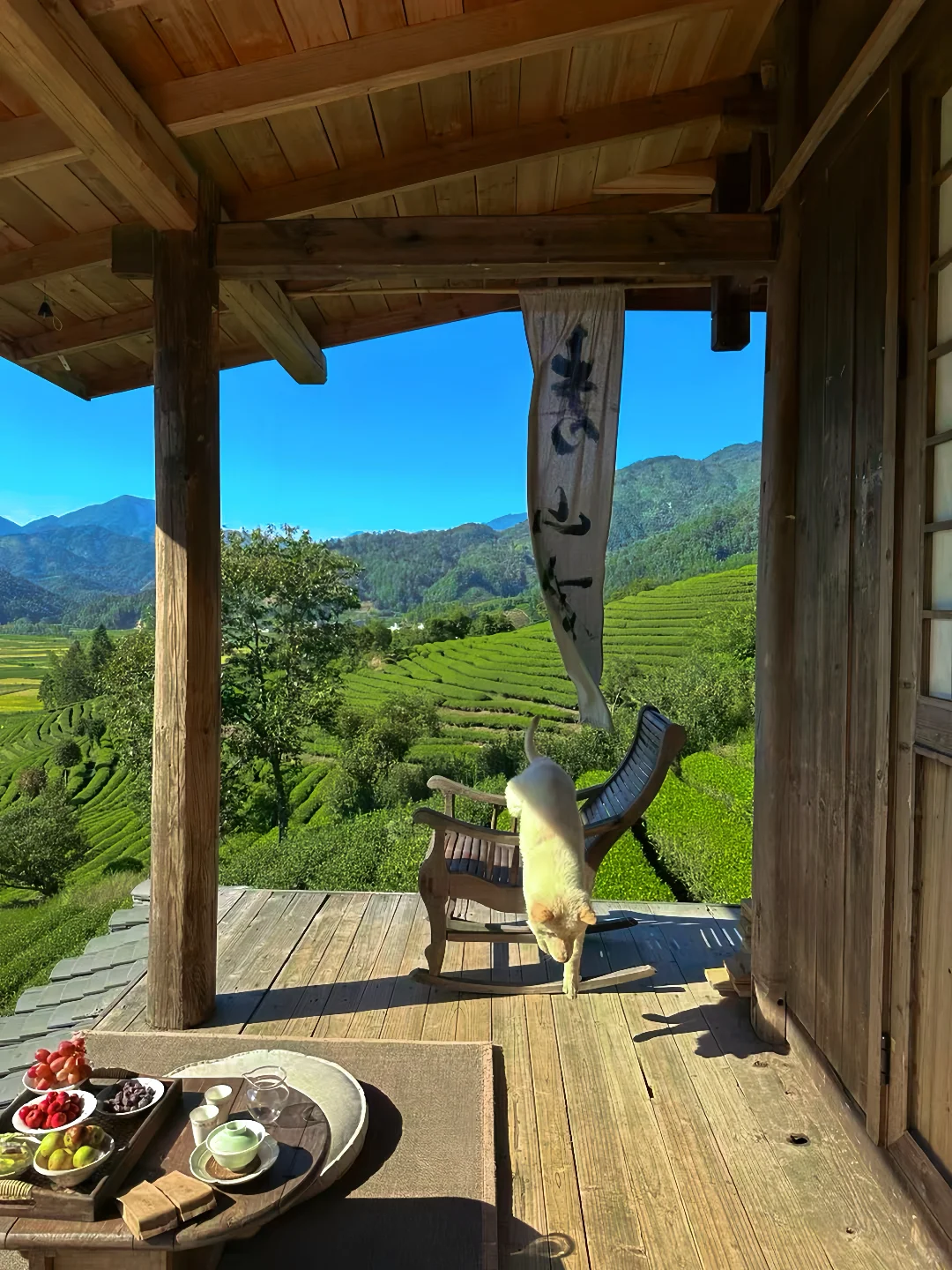 山野之间 享受自然