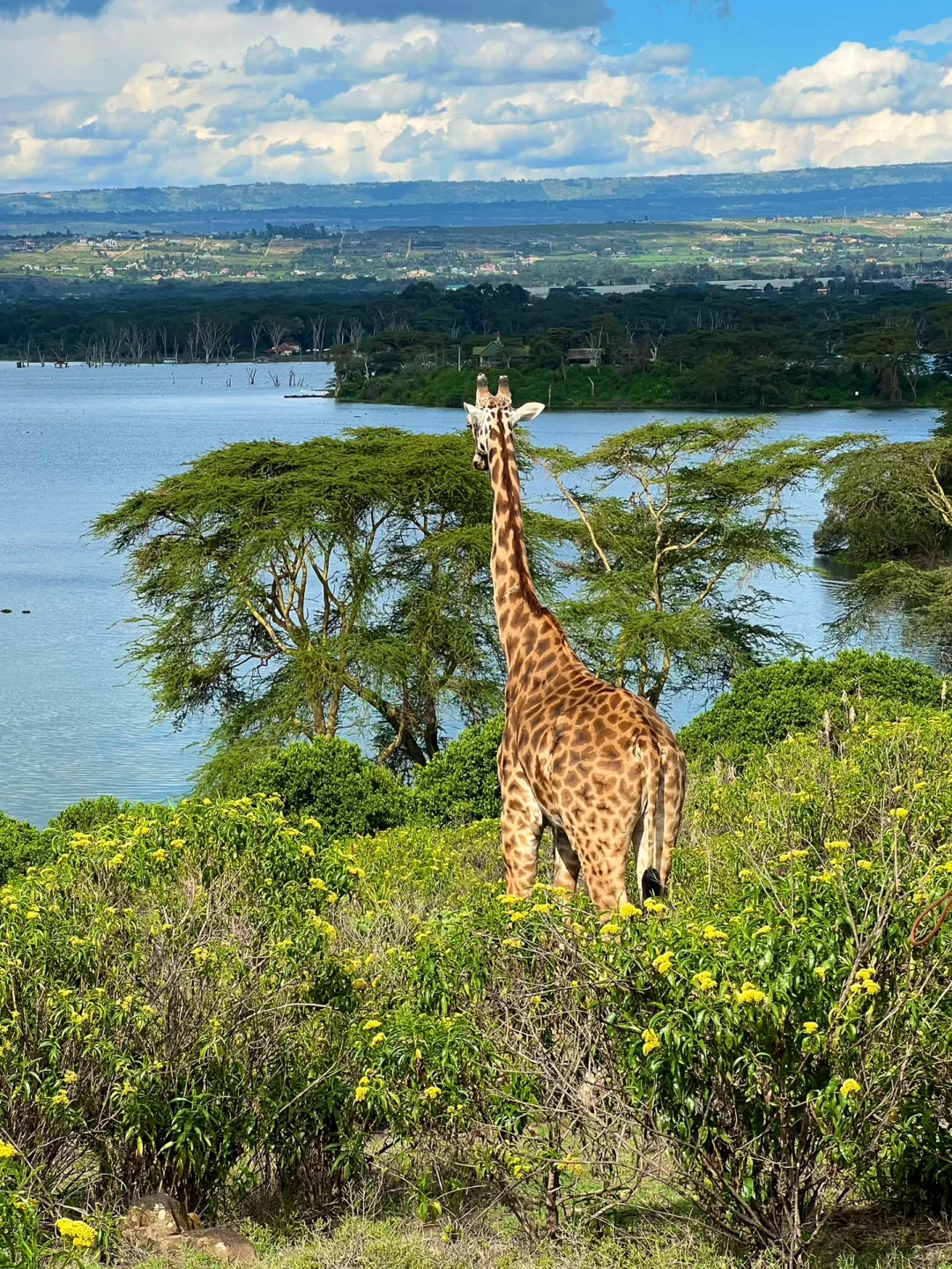 肯尼亚🇰🇪旅游攻略｜入境篇 4.12日