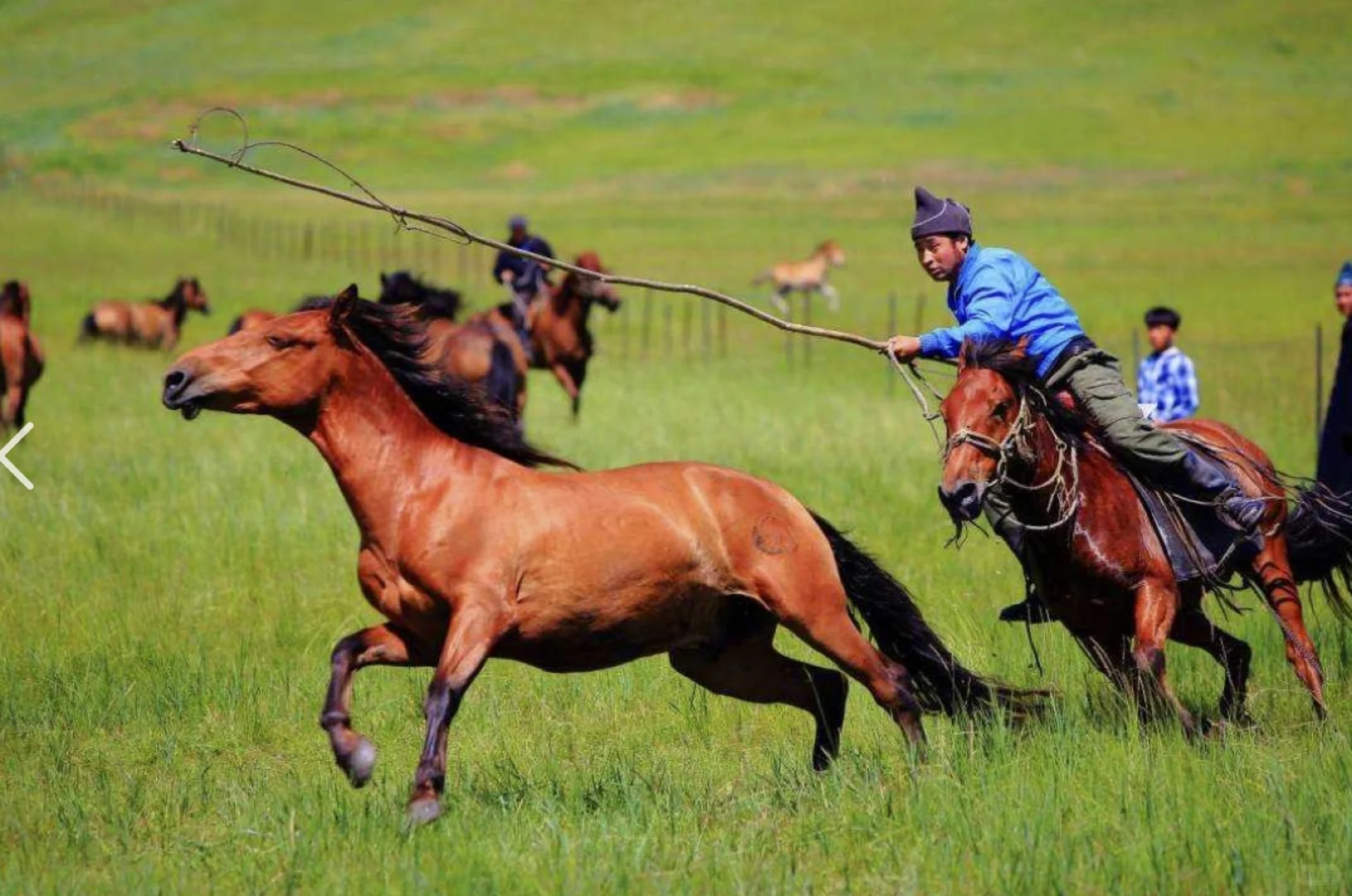 呼伦贝尔5天4晚费用——呼伦贝尔旅游攻略