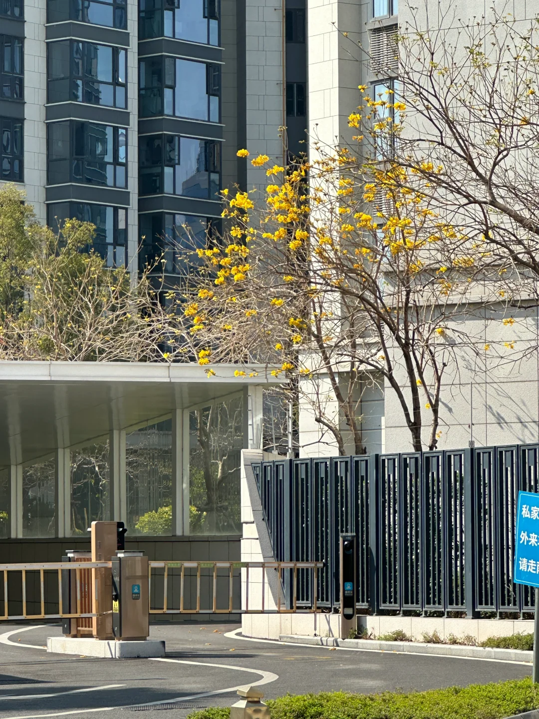 厦门集美大社旅游攻略｜本地人带你玩！