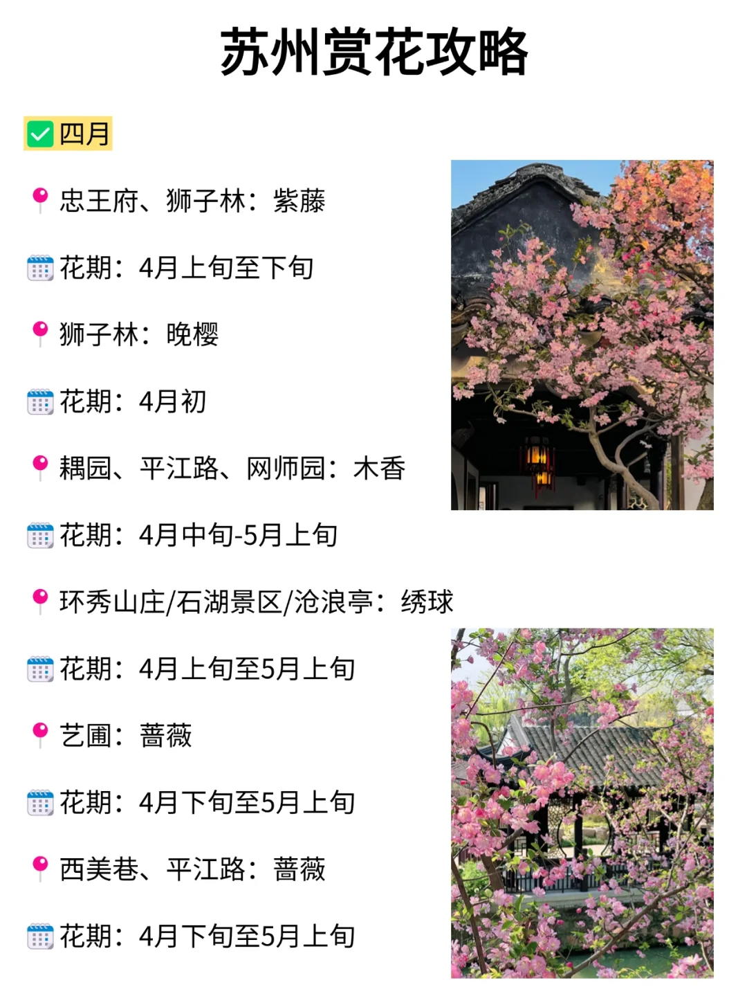 苏州会惩罚每一个不预约的人😭……