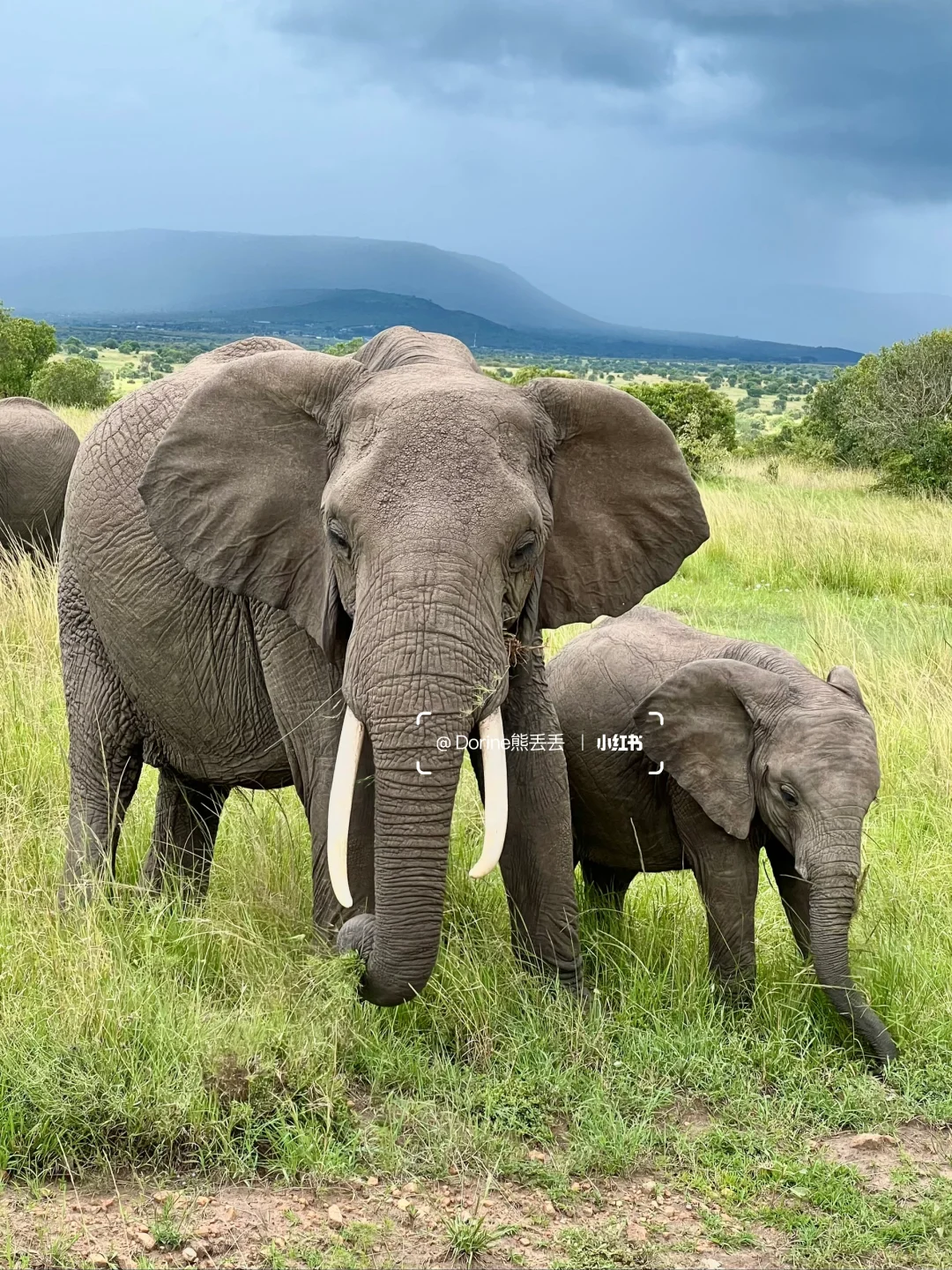 肯尼亚🇰🇪旅游攻略｜入境篇 4.12日