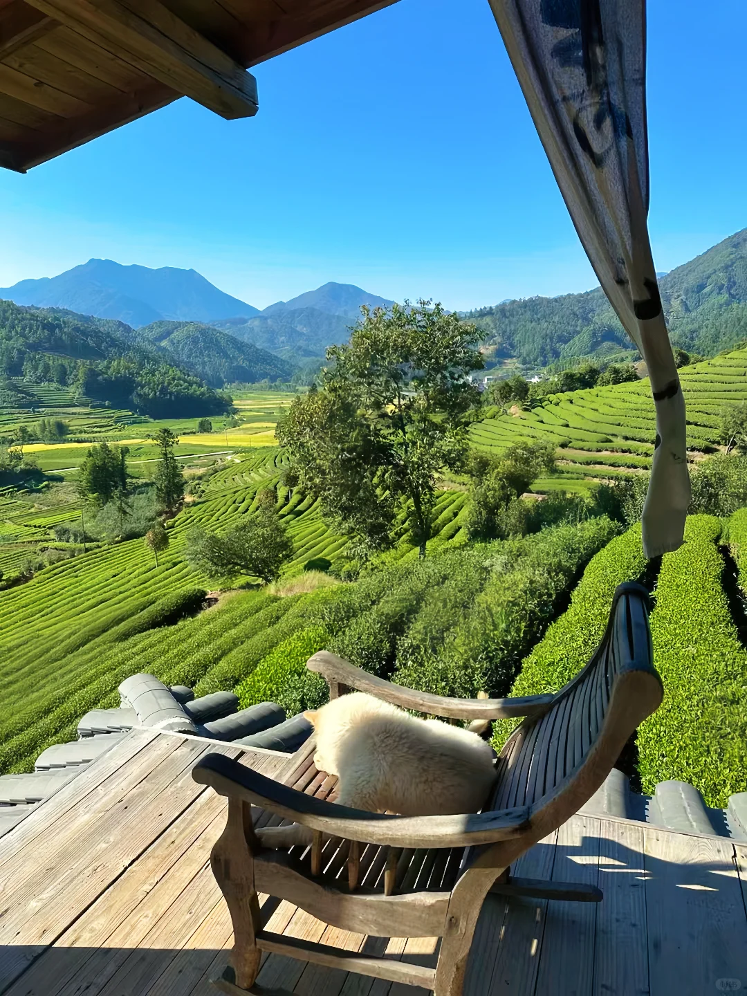 山野之间 享受自然