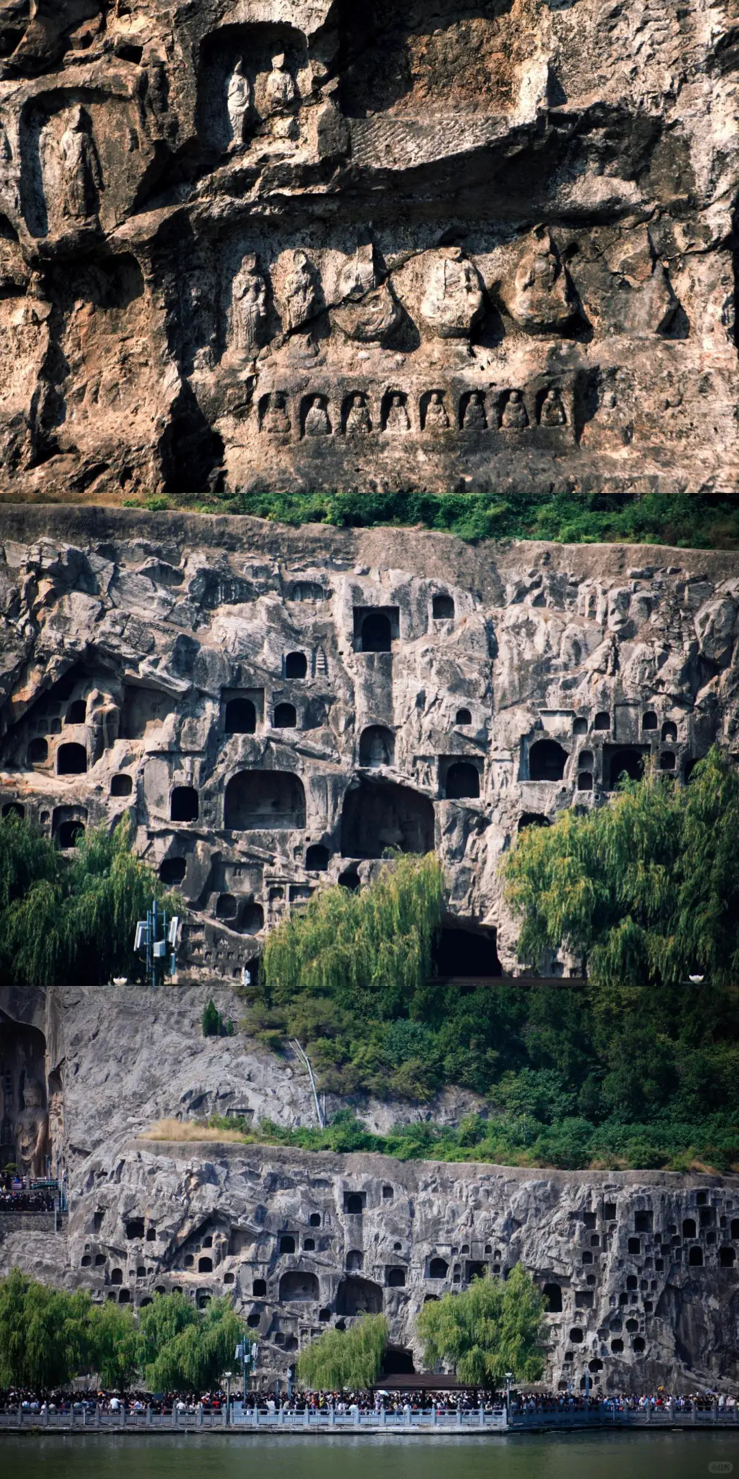 讲真的😭4-6月没做好攻略不要去龙门石窟‼️