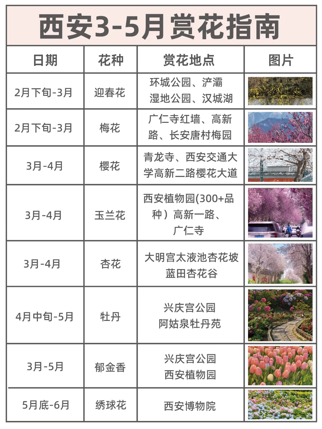 西安两天一夜总花费