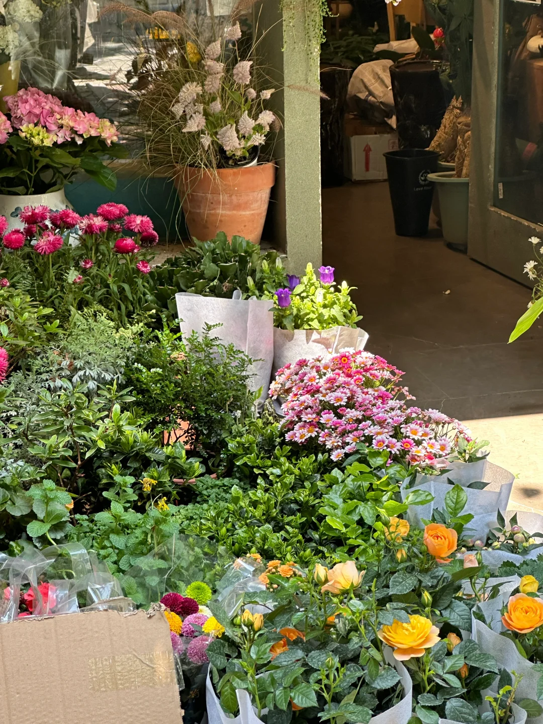 厦门集美大社旅游攻略｜本地人带你玩！