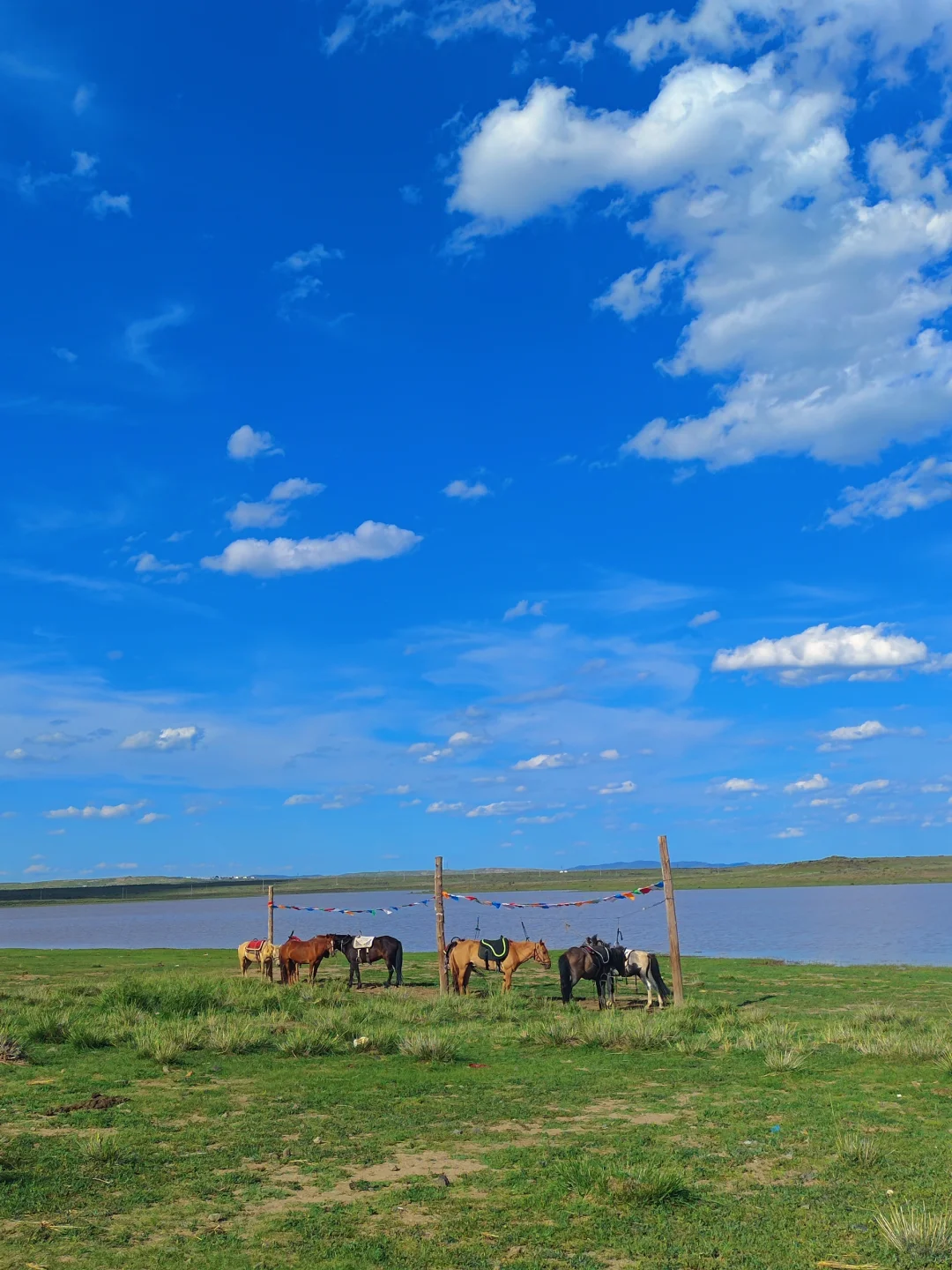 大学生穷游乌兰察布💰3天2夜共花费240块