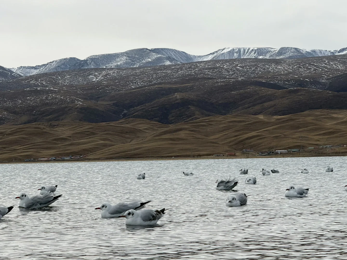 和男友去西北👫七天花了3k💰谈谈感受
