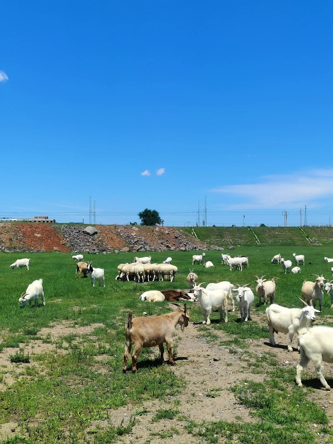 大学生穷游乌兰察布💰3天2夜共花费240块