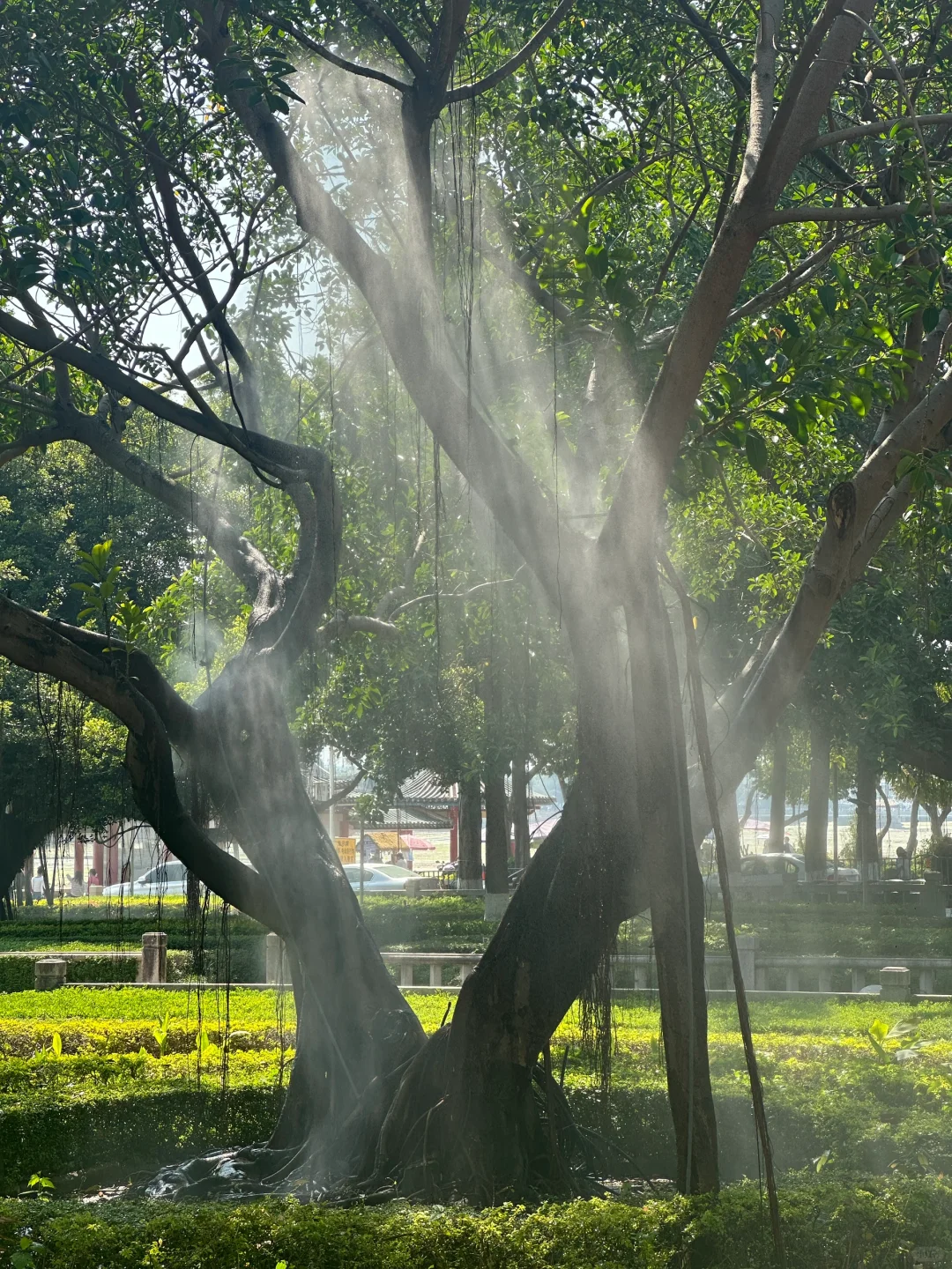 厦门集美大社旅游攻略｜本地人带你玩！