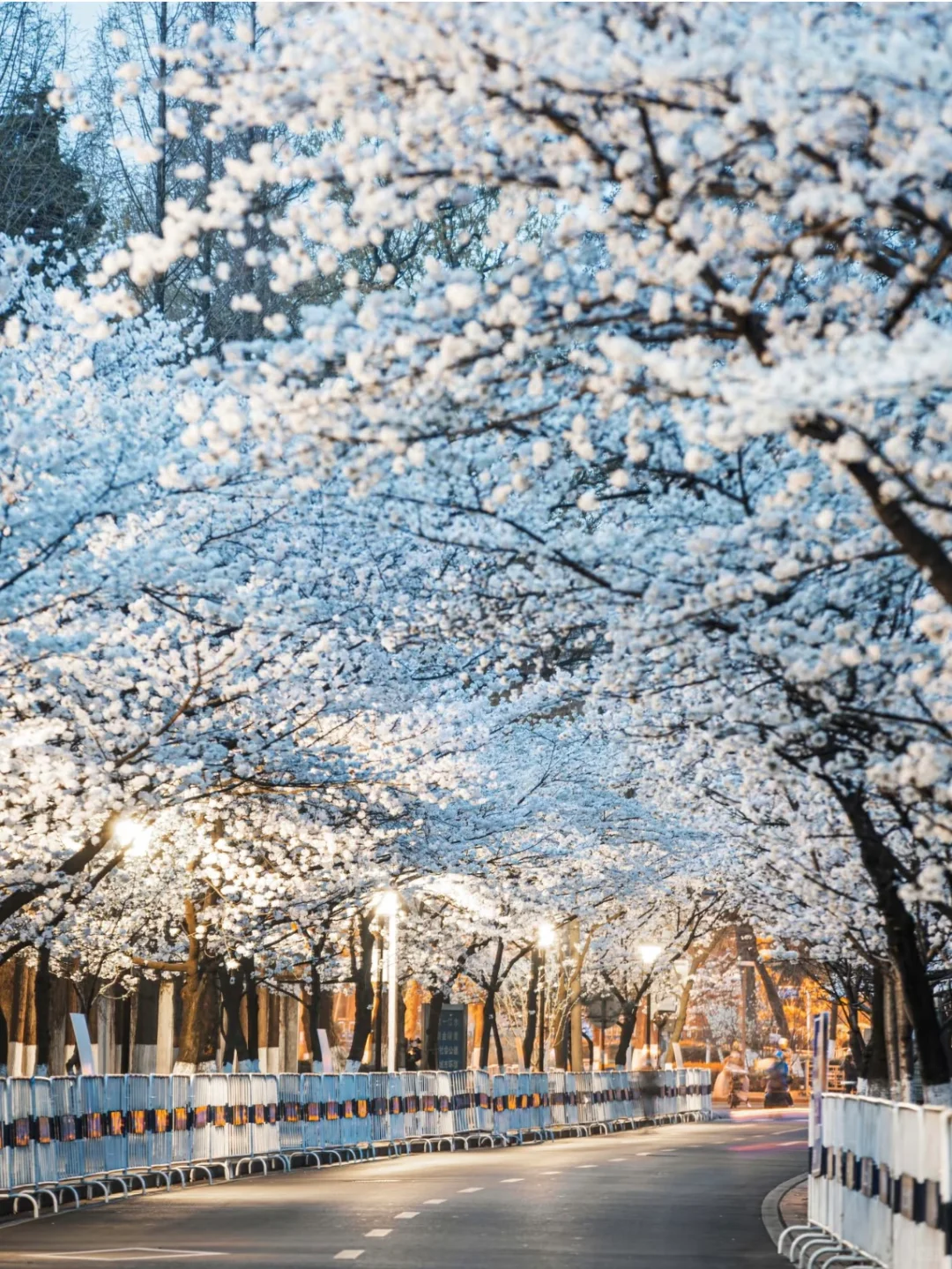 04女大📍独闯南京 | 三天不走回头路攻略