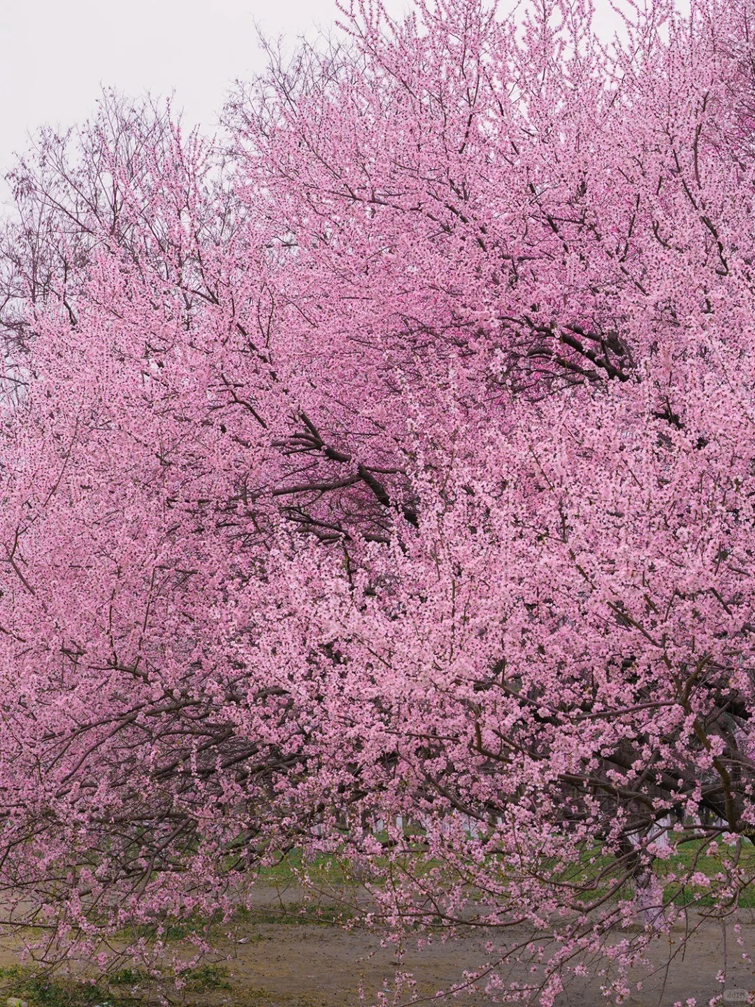 去北京旅游👫5天4晚只需1000+攻略