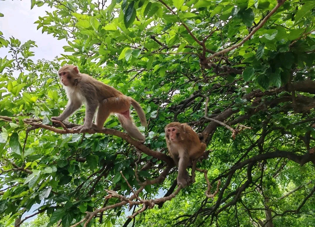 🌸连云港 | 五一三日游不踩雷全攻略🌊