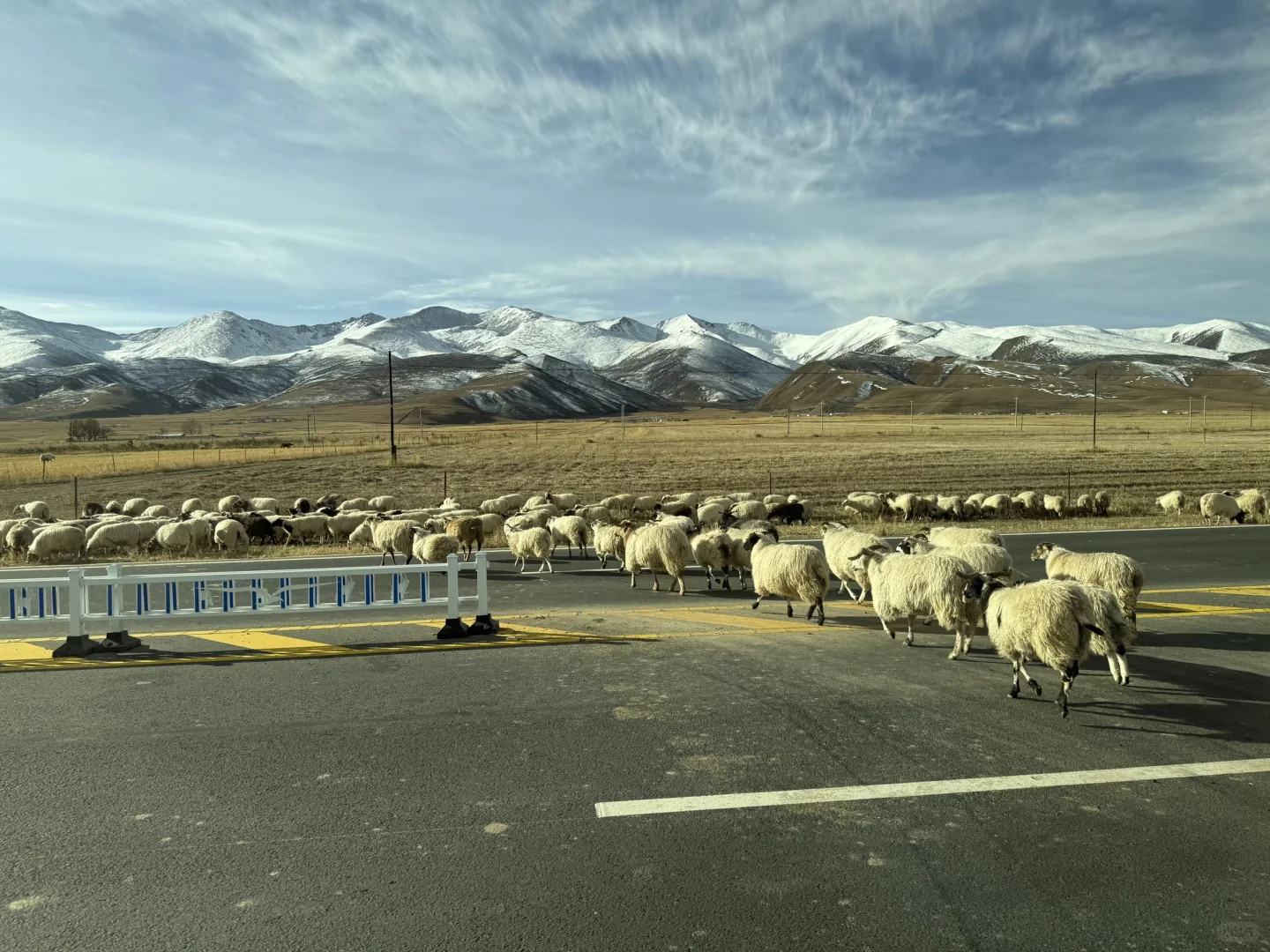 和男友去西北👫七天花了3k💰谈谈感受