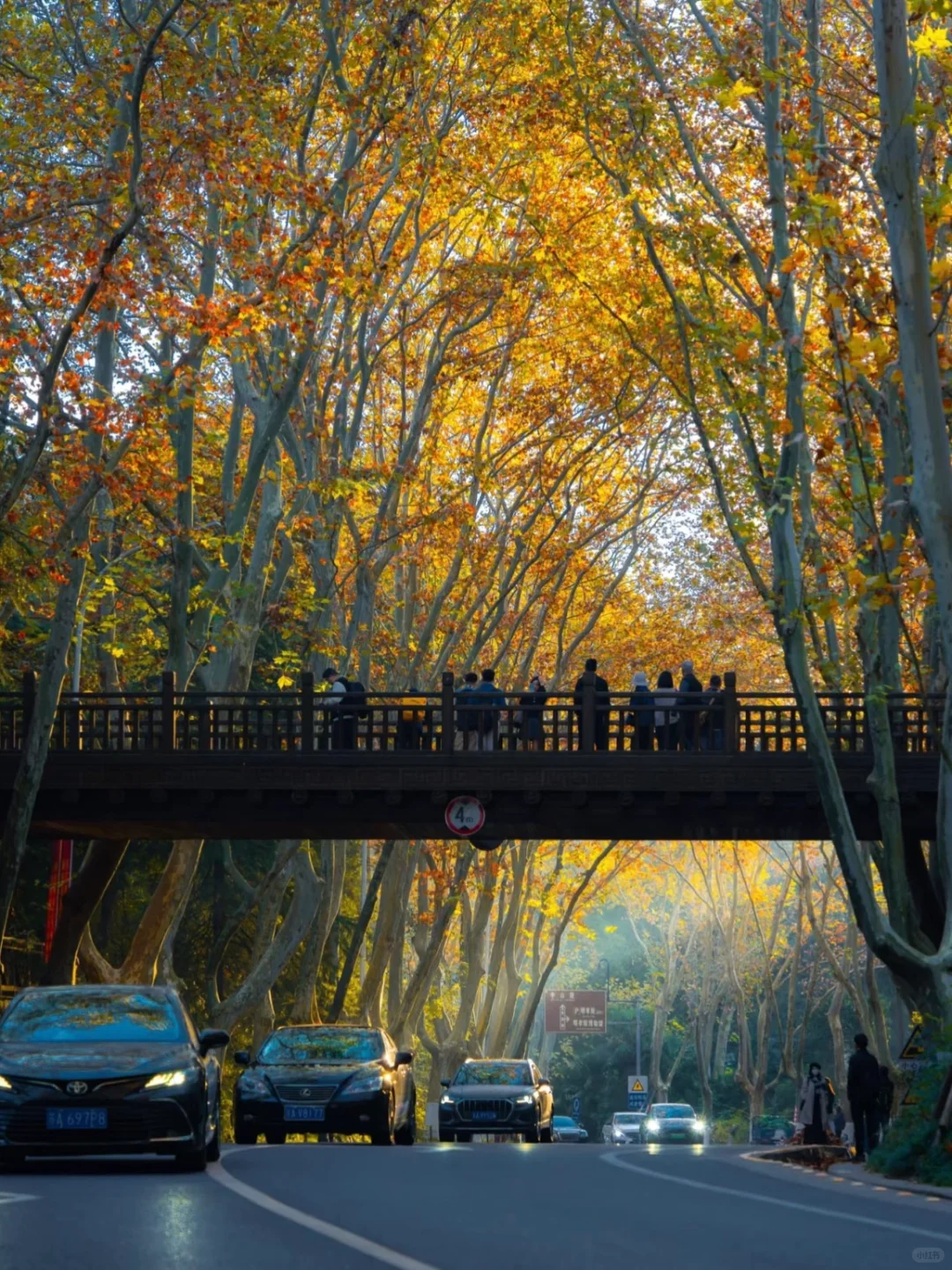 04女大📍独闯南京 | 三天不走回头路攻略