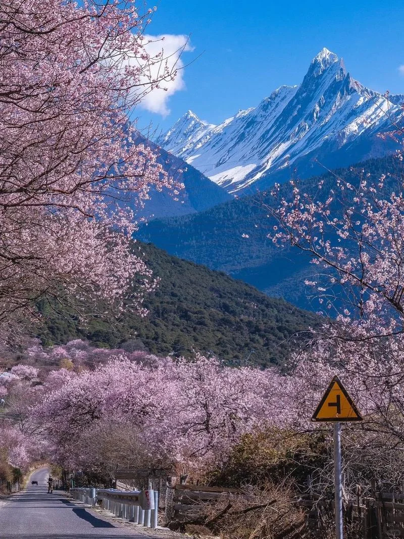 西藏3-5月蕞全旅行攻略｜气候+玩法+避坑点