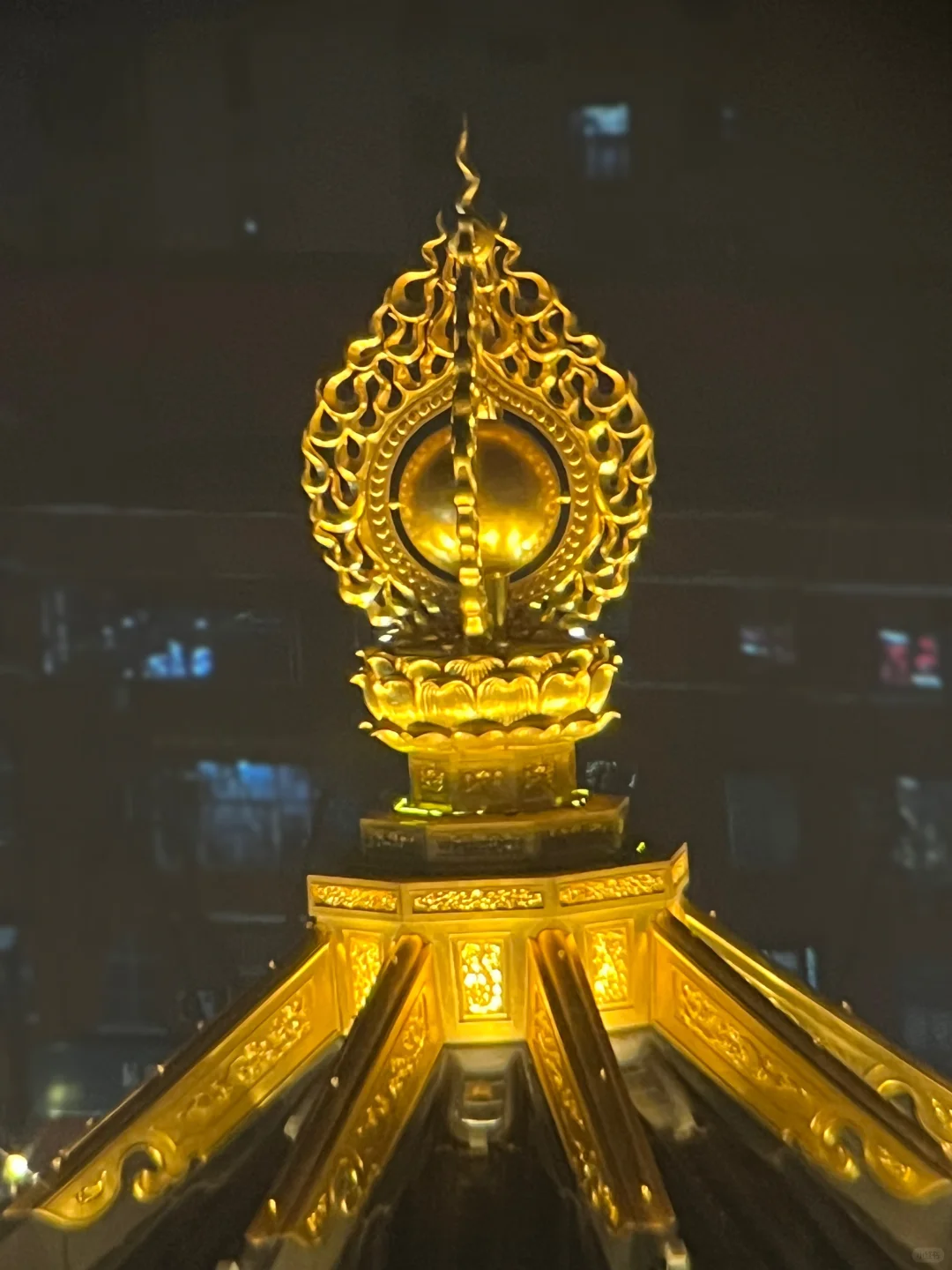 浮生游记🔯洛阳游