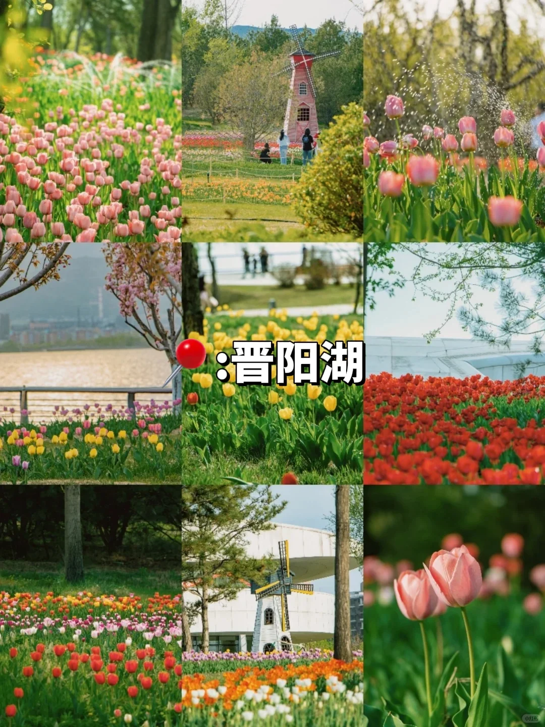 后悔没早点知道太原8个踏青好去处‼️