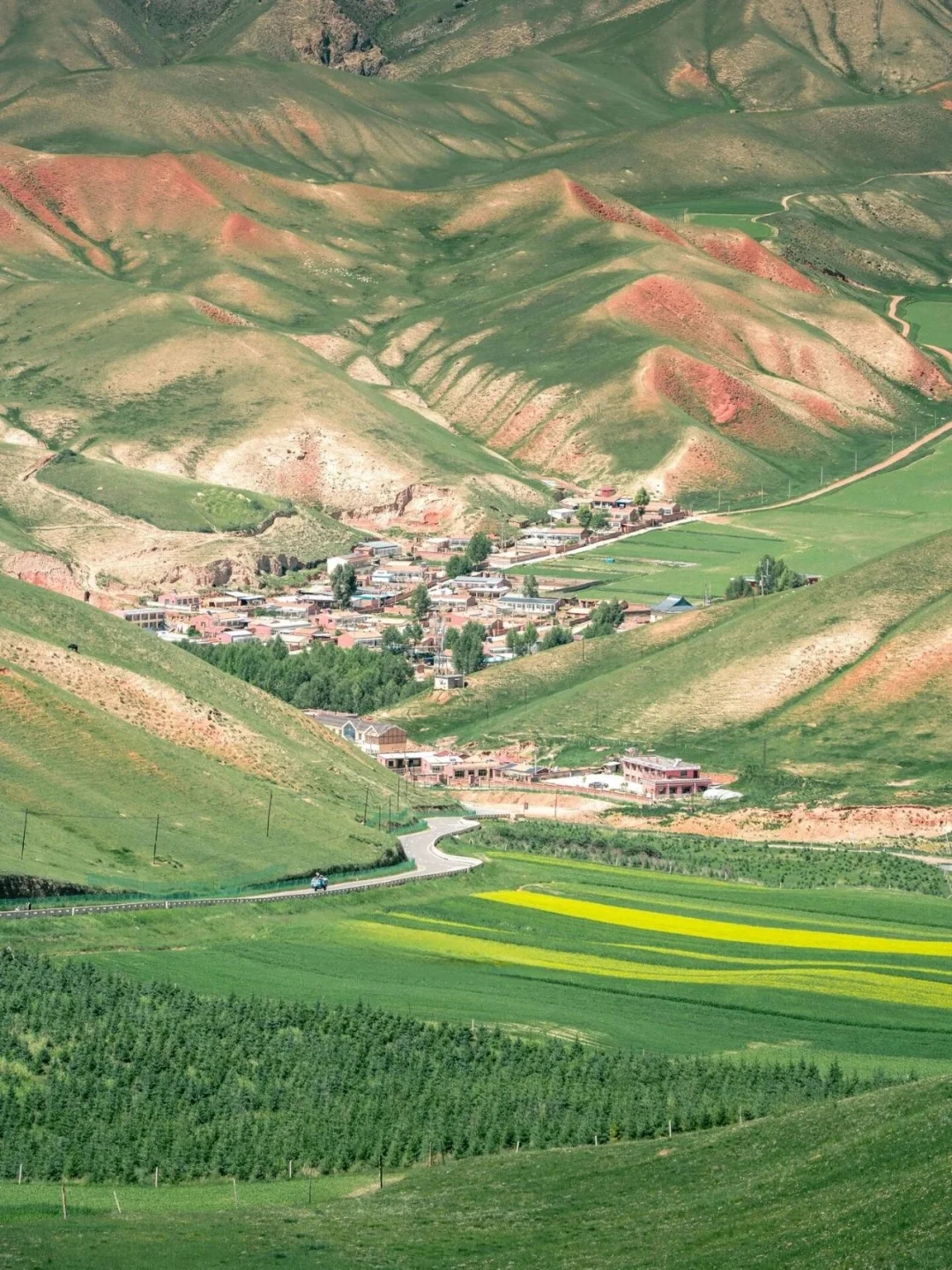 朋友圈被问疯了，😂都以为我出国了！！