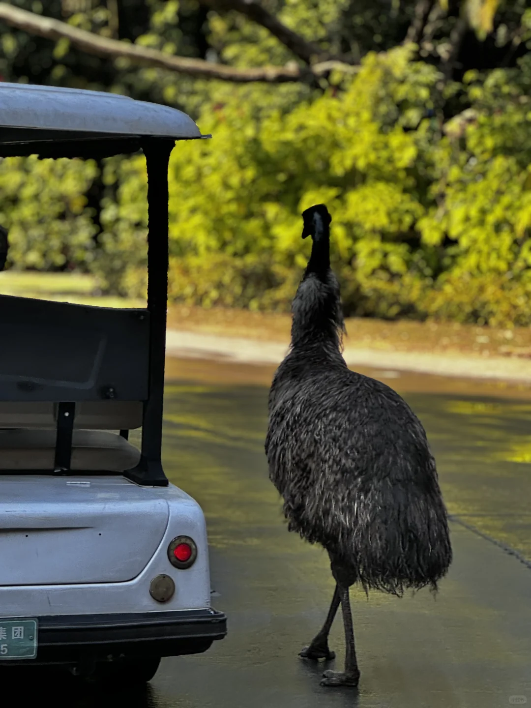 广州四天三夜亲子游玩攻略(吃住行篇)