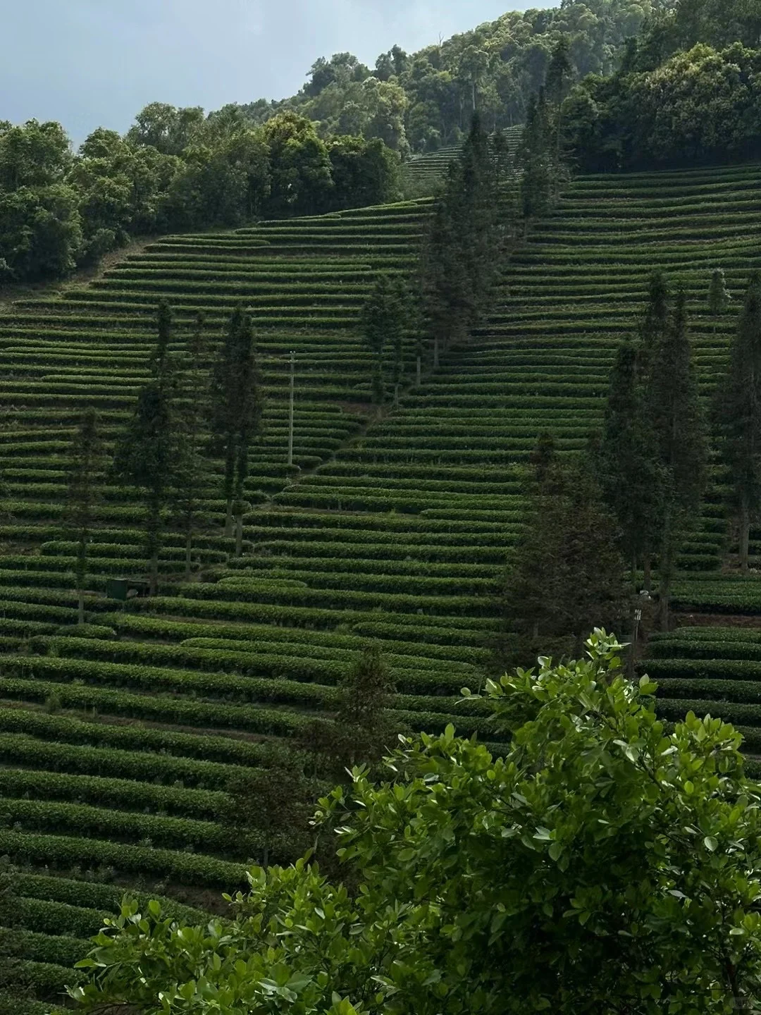 国内小众游｜不去人挤人，我在普洱安静地放空