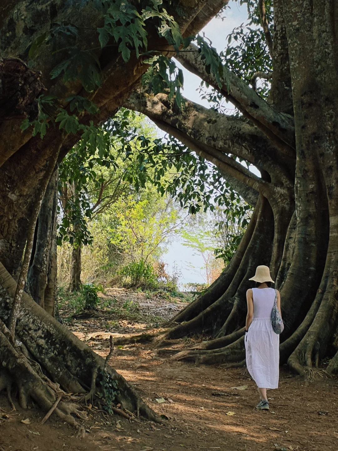 国内小众游｜不去人挤人，我在普洱安静地放空