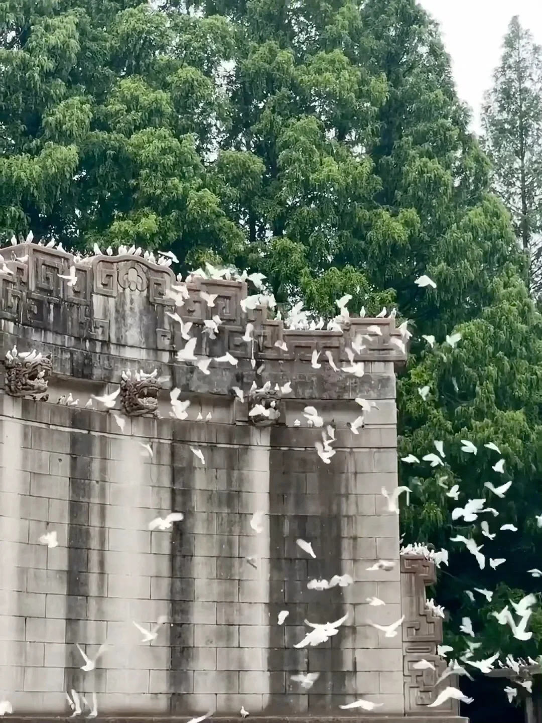 听劝👂4-5月来南京的姐妹请🐎住