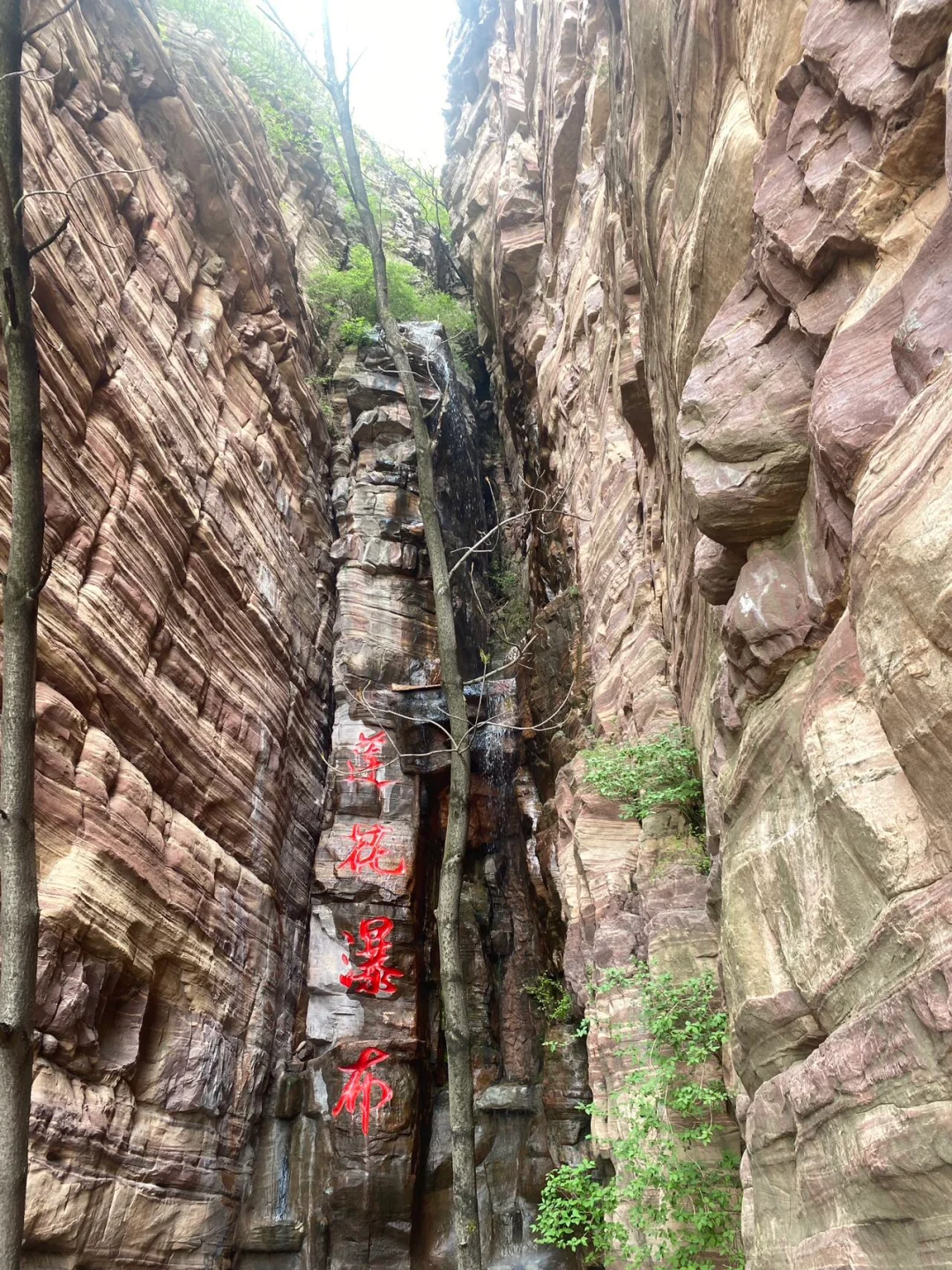 山不见我 我去见山，五一就去东太行⛰️