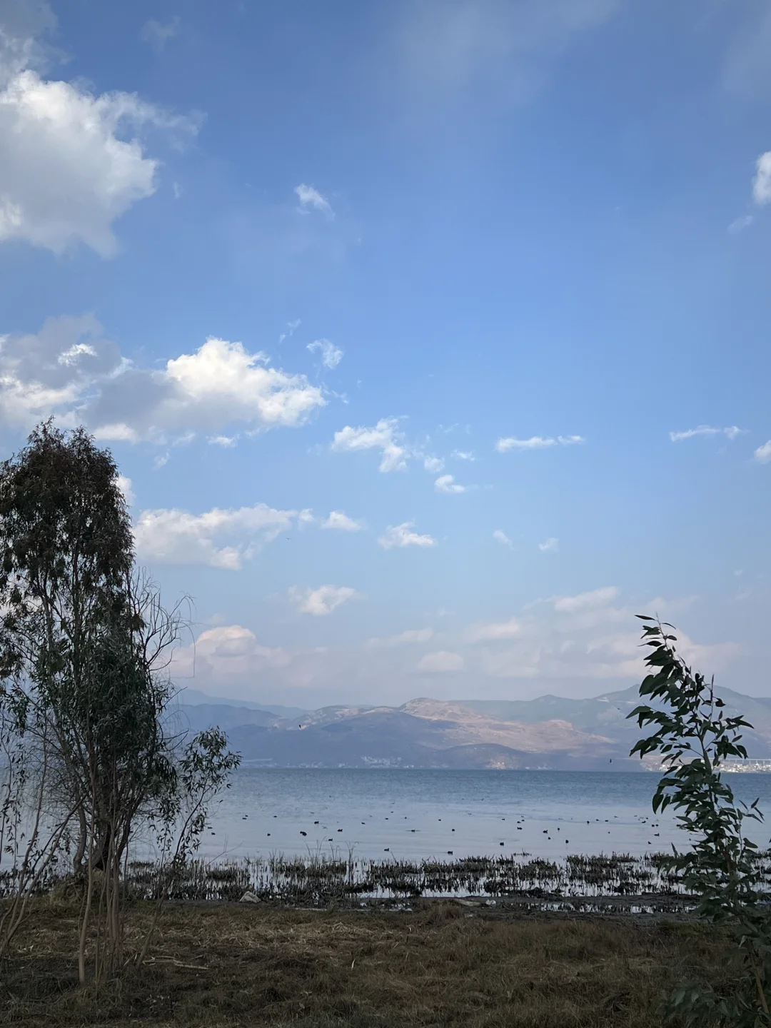 超详细不踩雷‼️人均2k+云南旅游攻略来啦