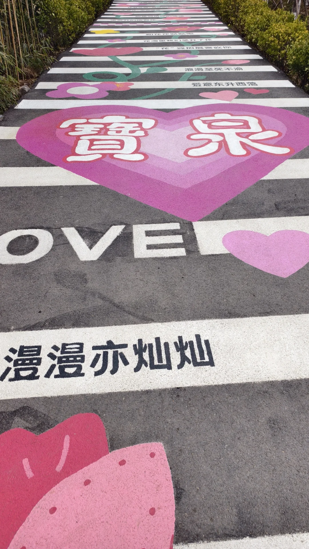 网络上的美景⛰️，现实中…