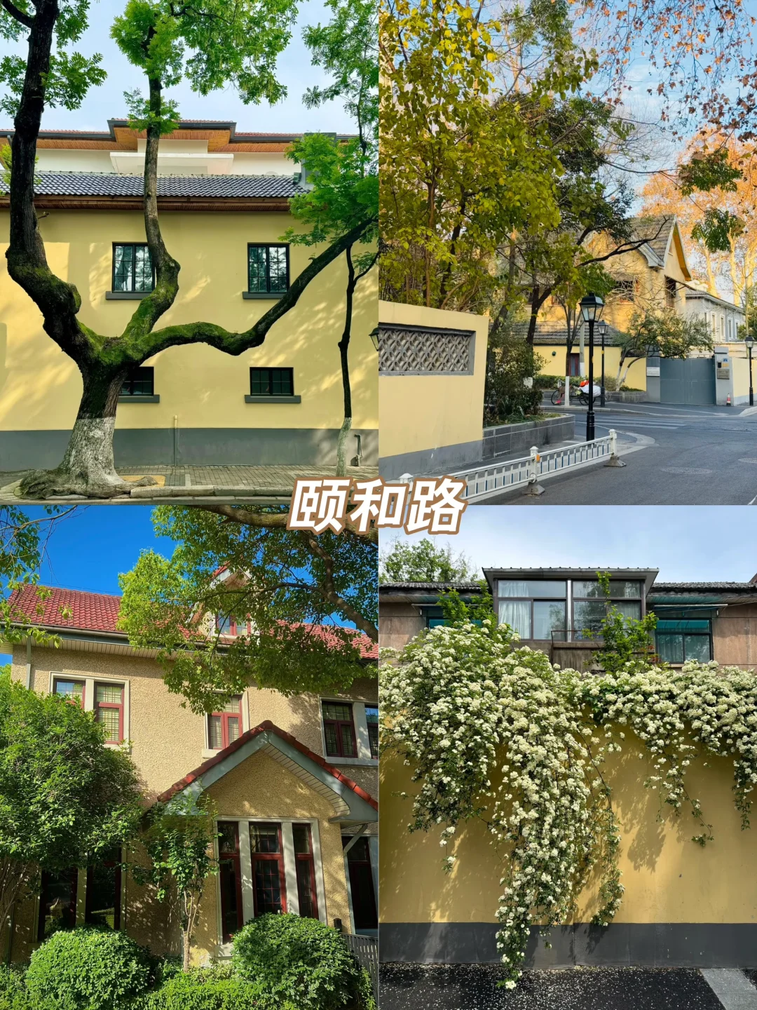 被j人做的南京周末两日游攻略震惊到了🤯