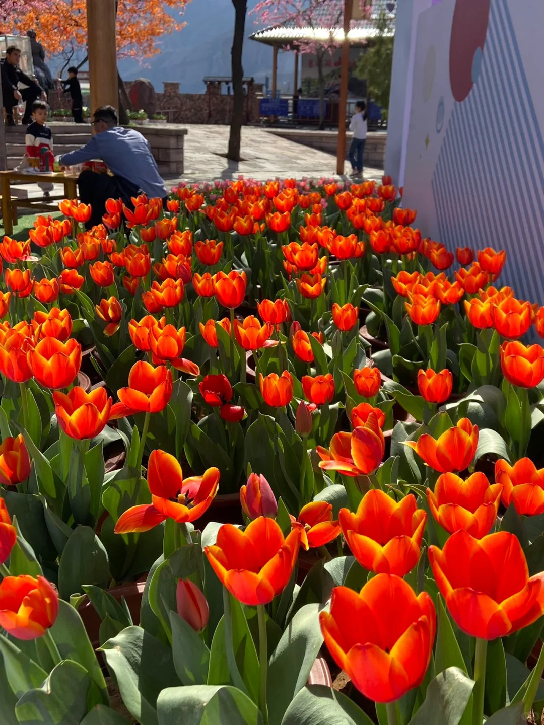 河北省…被严重低估的好山好水…