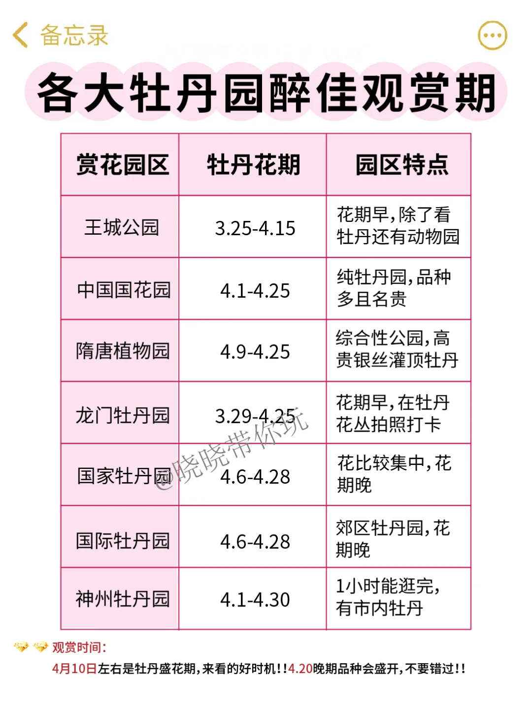 洛阳赏花行程安排，不看巨亏❗❗