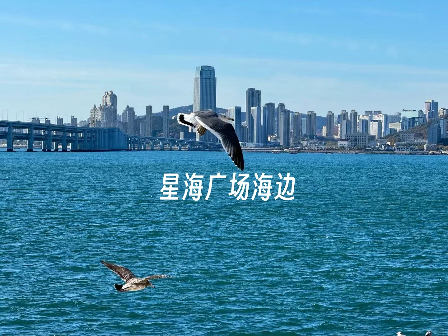 大连citywalk不知道去哪？一张图说明白！