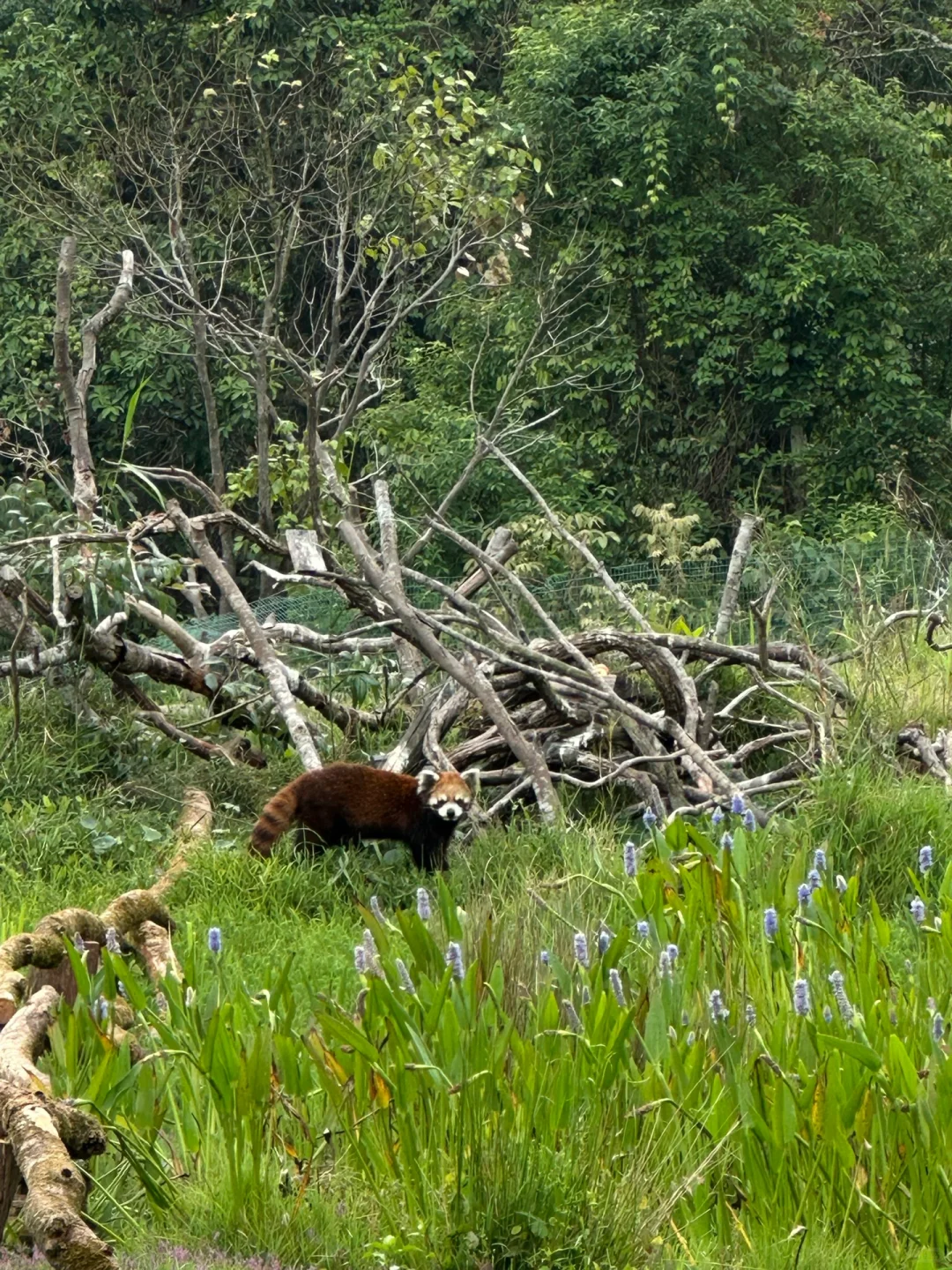 国内小众游｜不去人挤人，我在普洱安静地放空