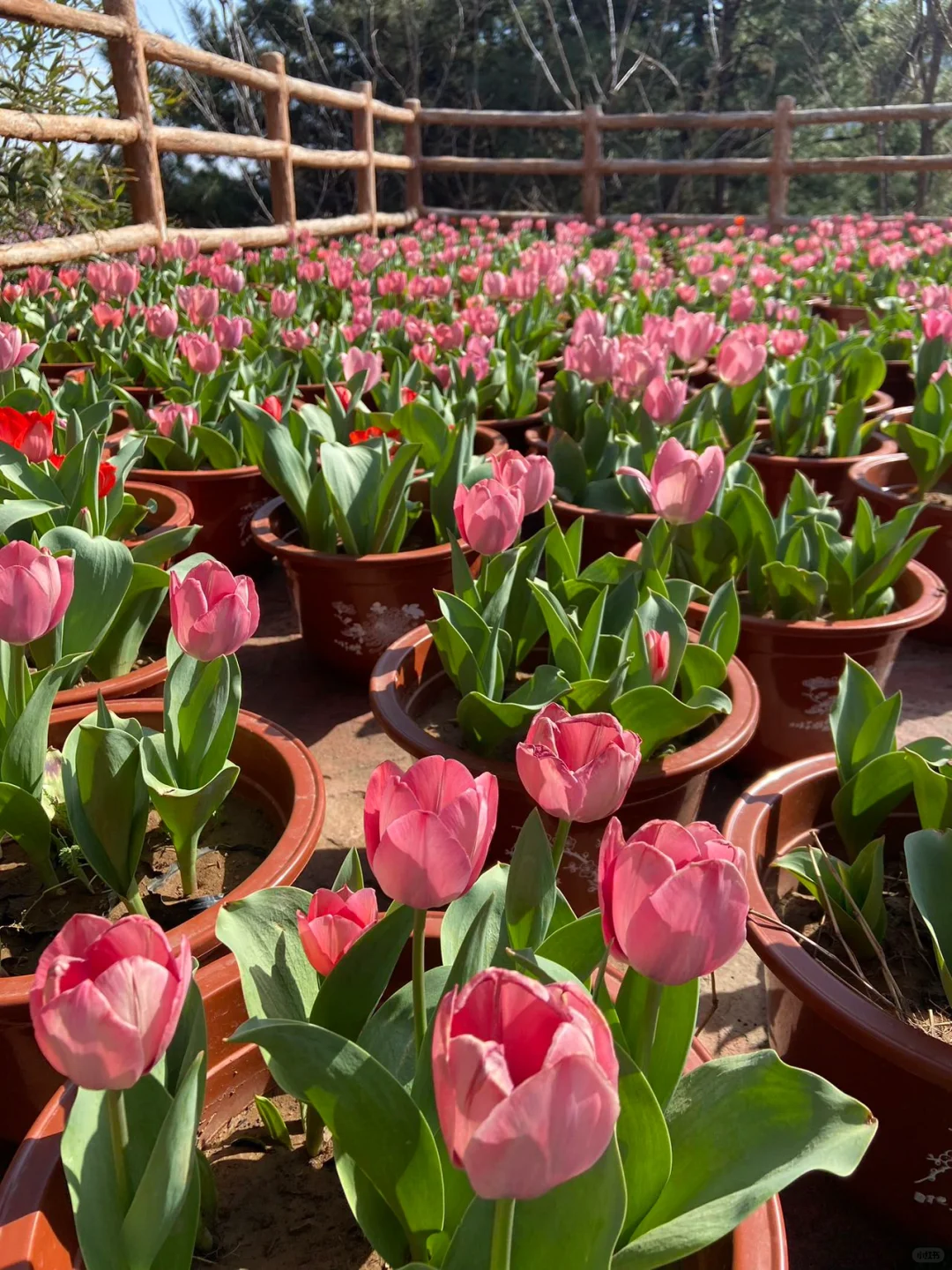 河北省…被严重低估的好山好水…