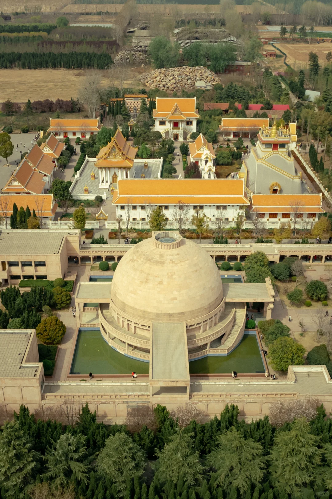 4月去洛阳别找攻略了,这一篇就够